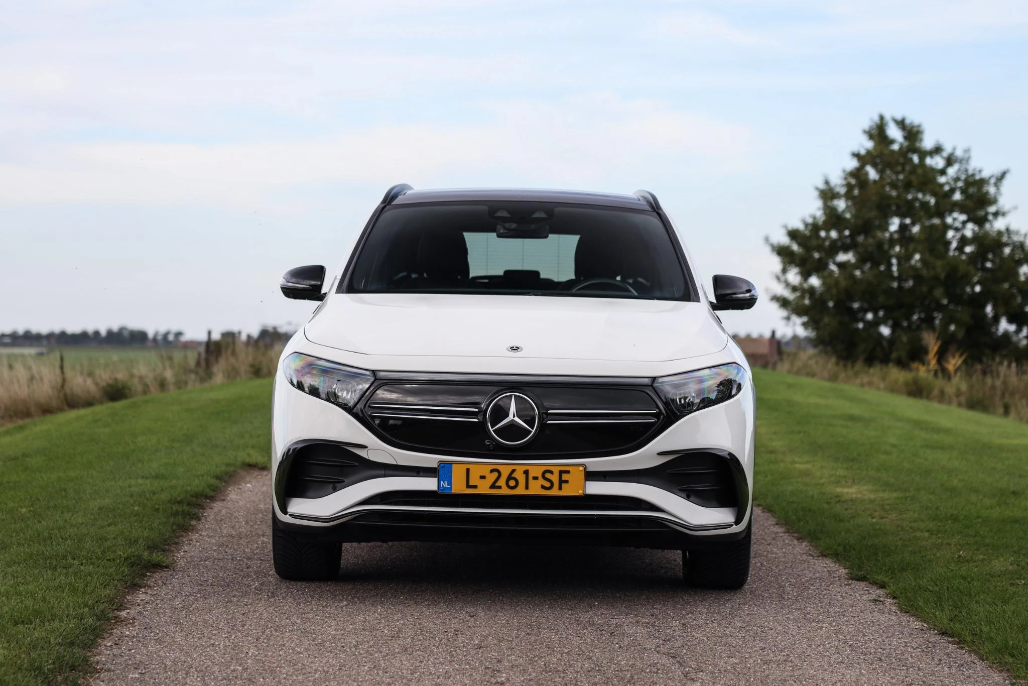 Hoofdafbeelding Mercedes-Benz EQA