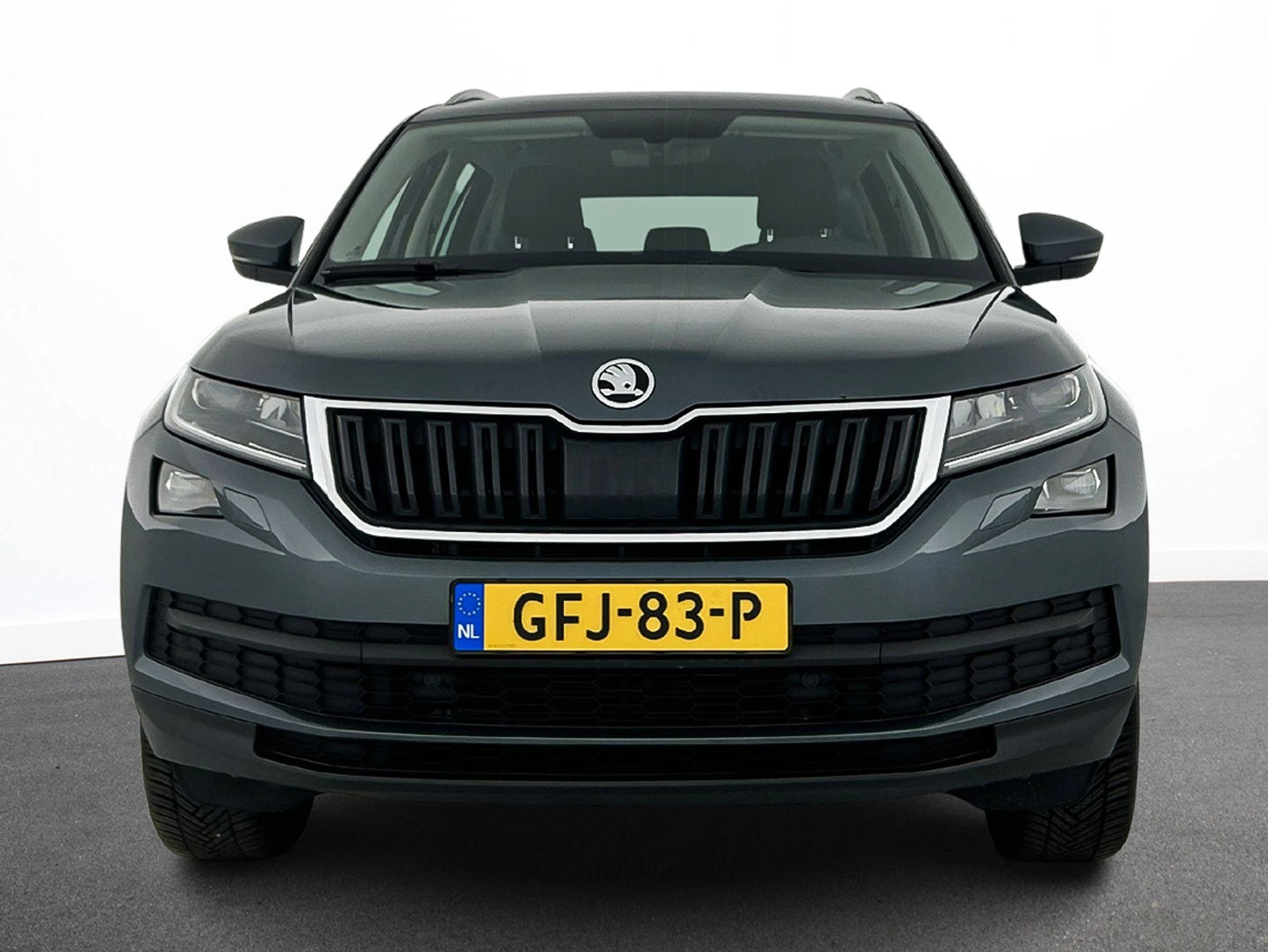 Hoofdafbeelding Škoda Kodiaq