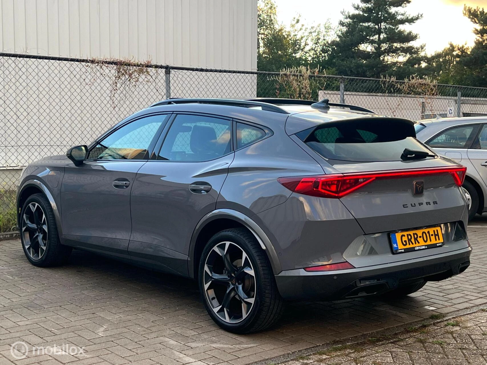 Hoofdafbeelding CUPRA Formentor