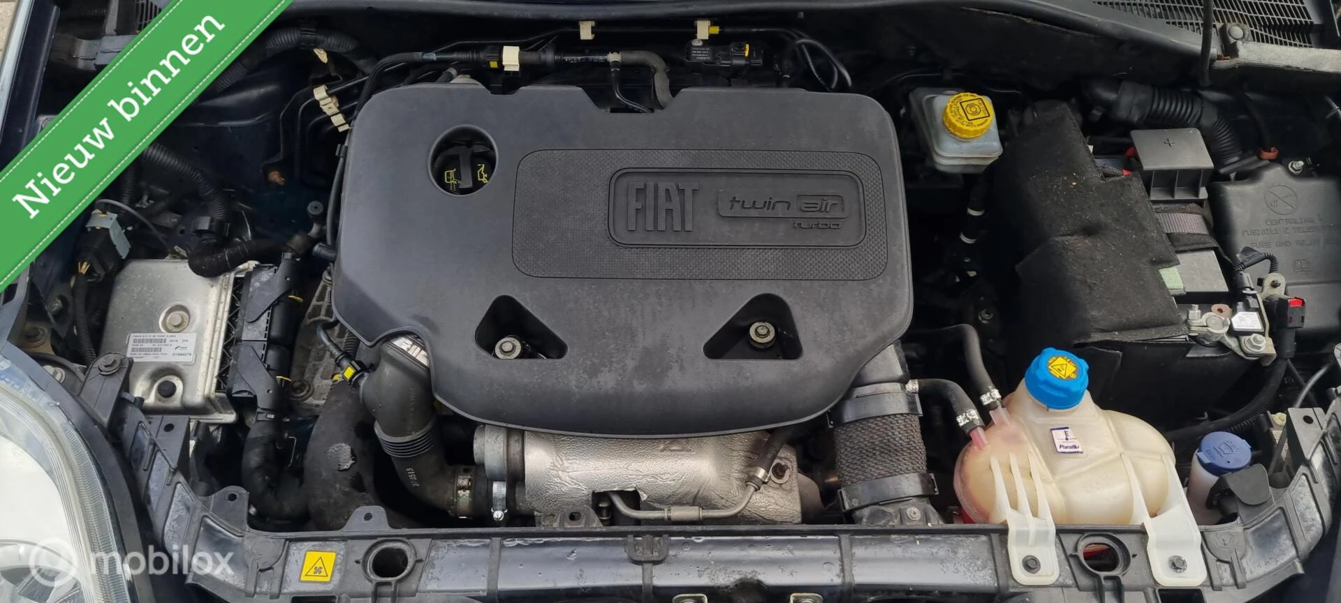 Hoofdafbeelding Fiat Punto