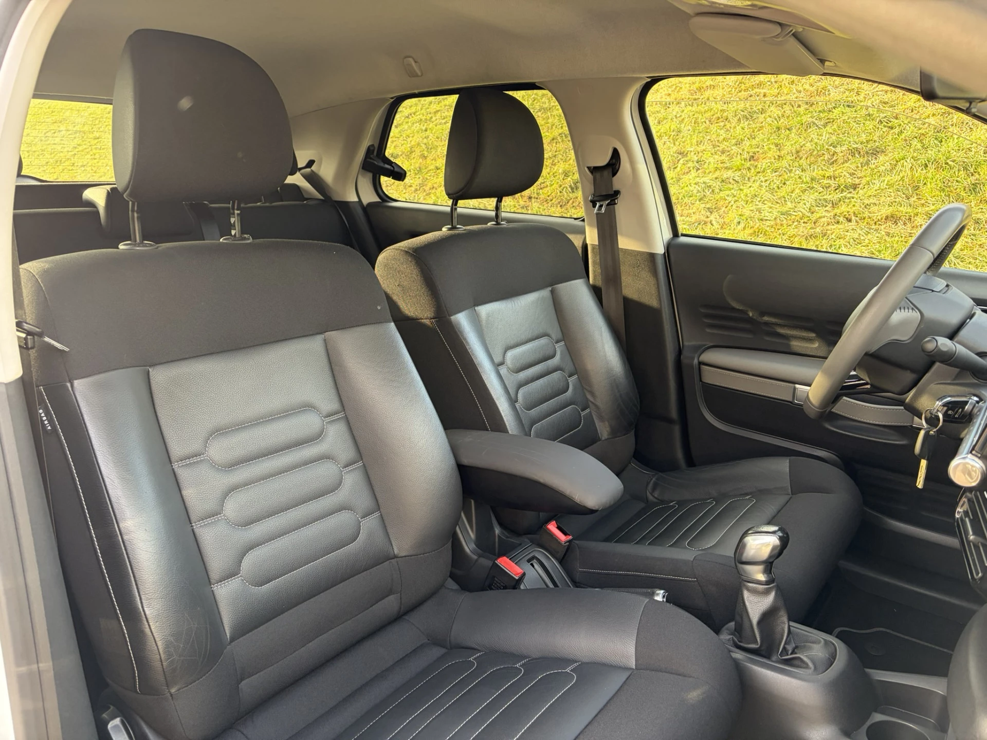 Hoofdafbeelding Citroën C4 Cactus