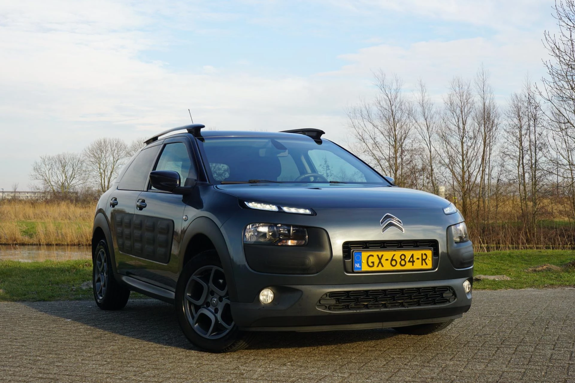 Hoofdafbeelding Citroën C4 Cactus