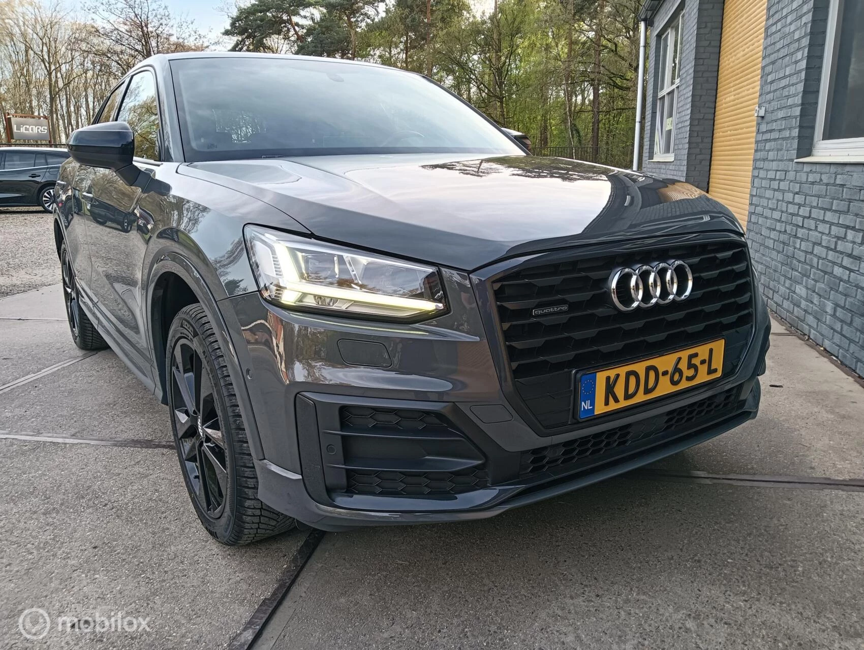 Hoofdafbeelding Audi Q2