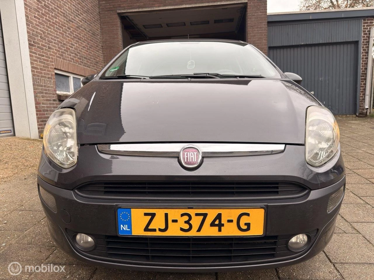 Hoofdafbeelding Fiat Punto