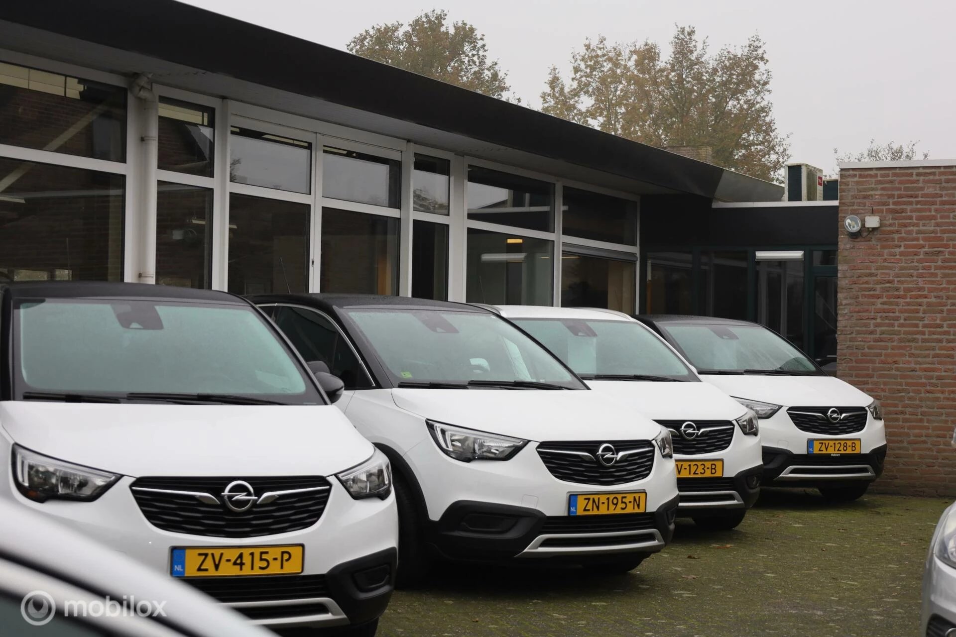 Hoofdafbeelding Opel Crossland X