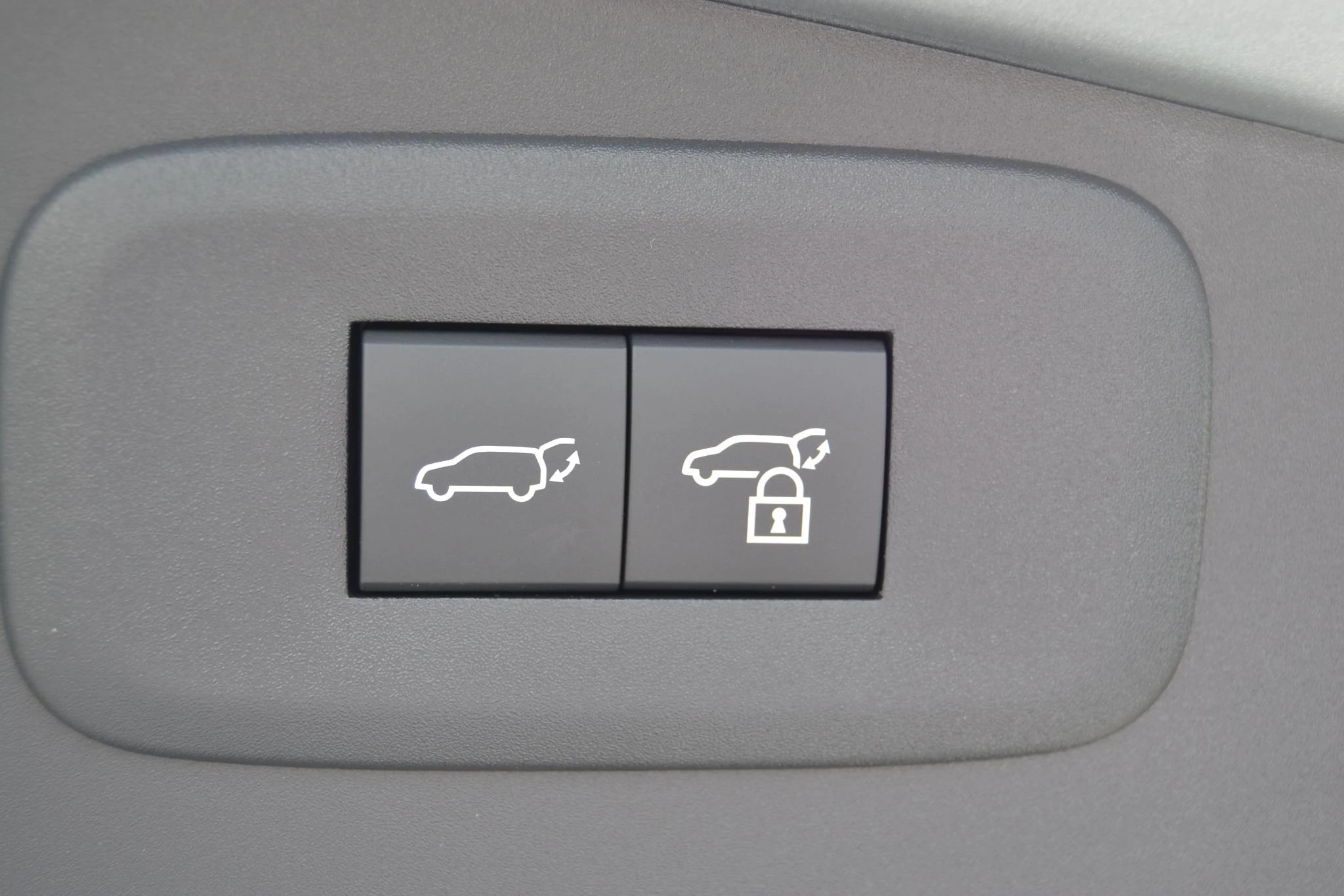 Hoofdafbeelding Lexus RZ