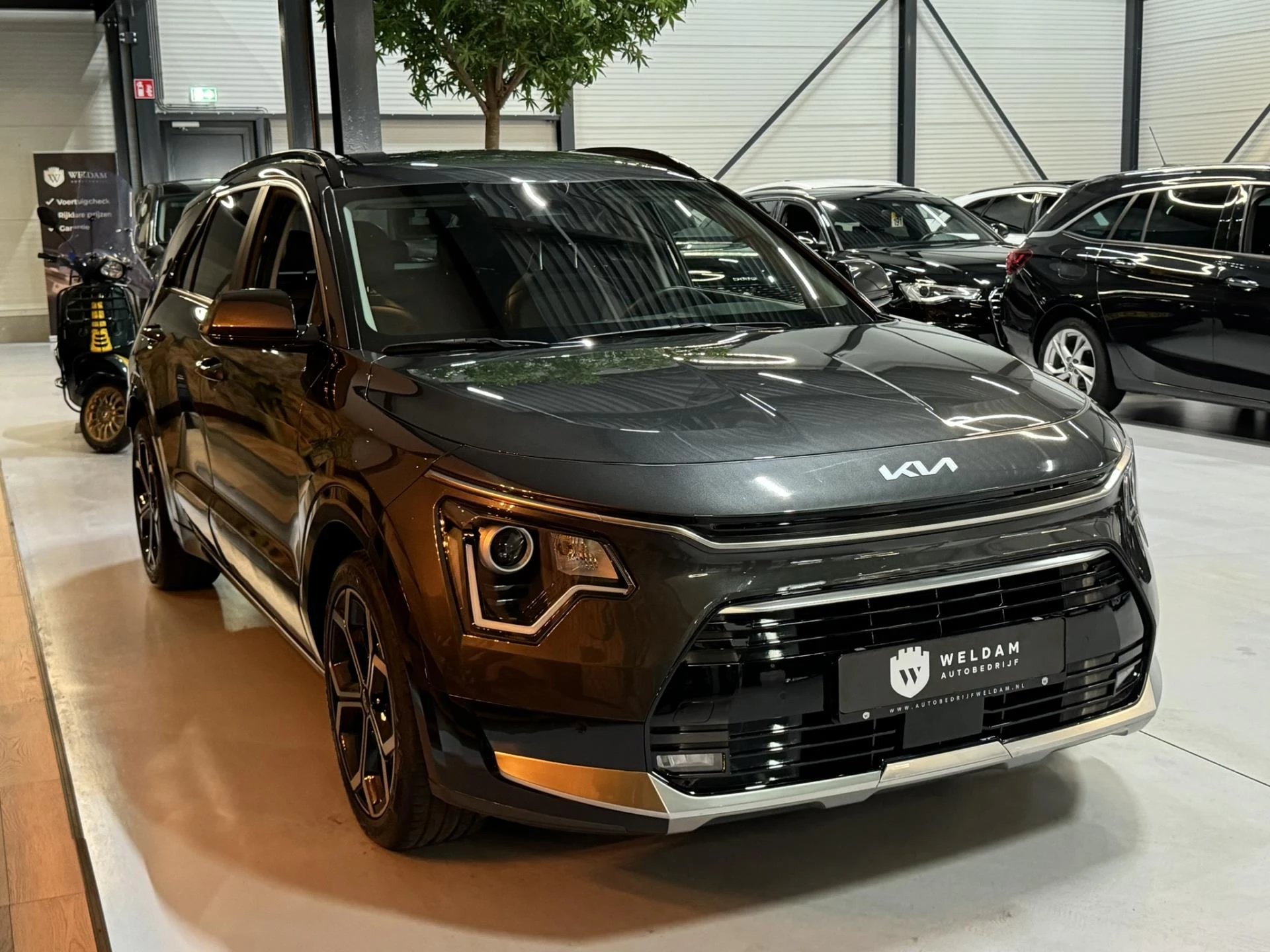 Hoofdafbeelding Kia Niro