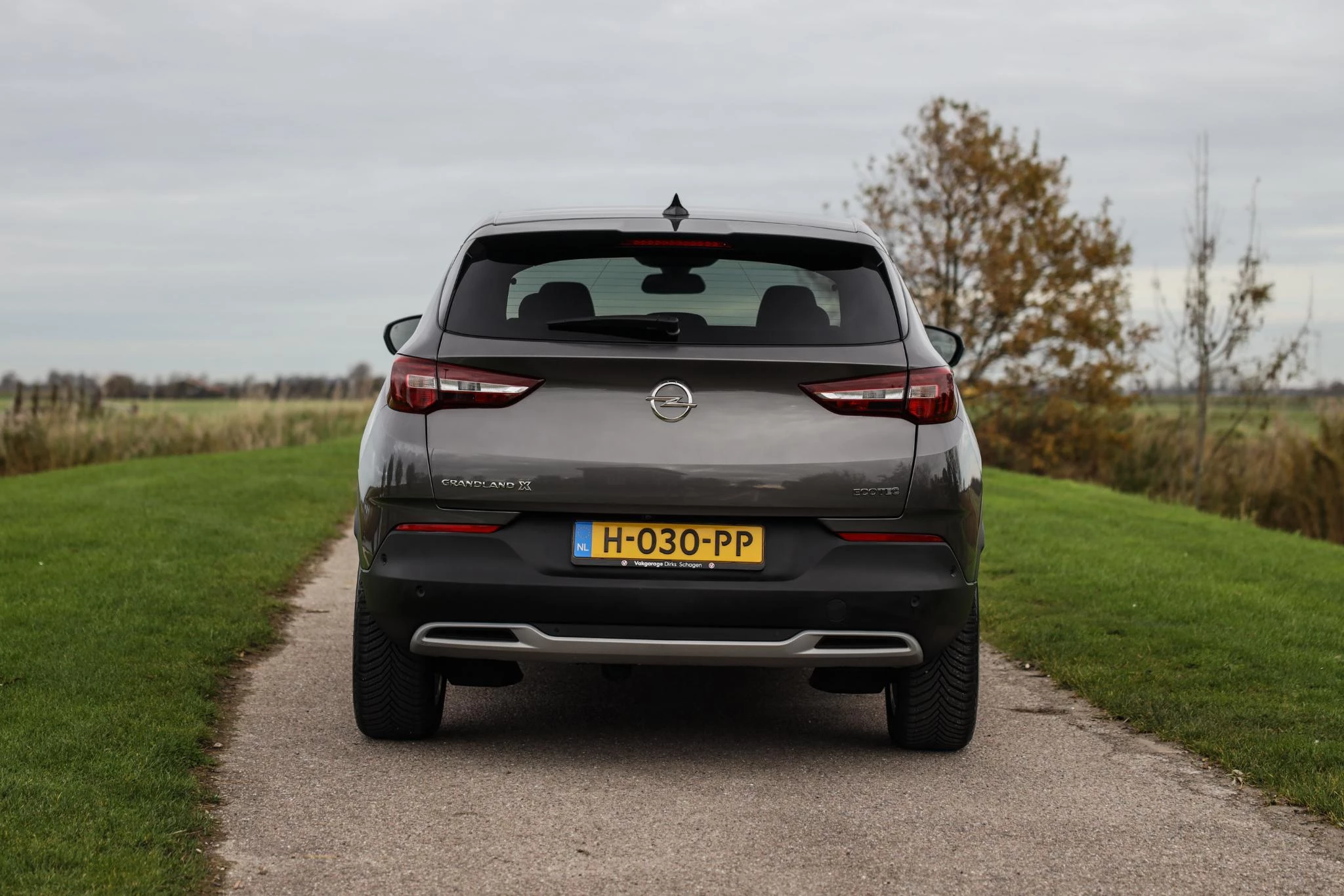 Hoofdafbeelding Opel Grandland X