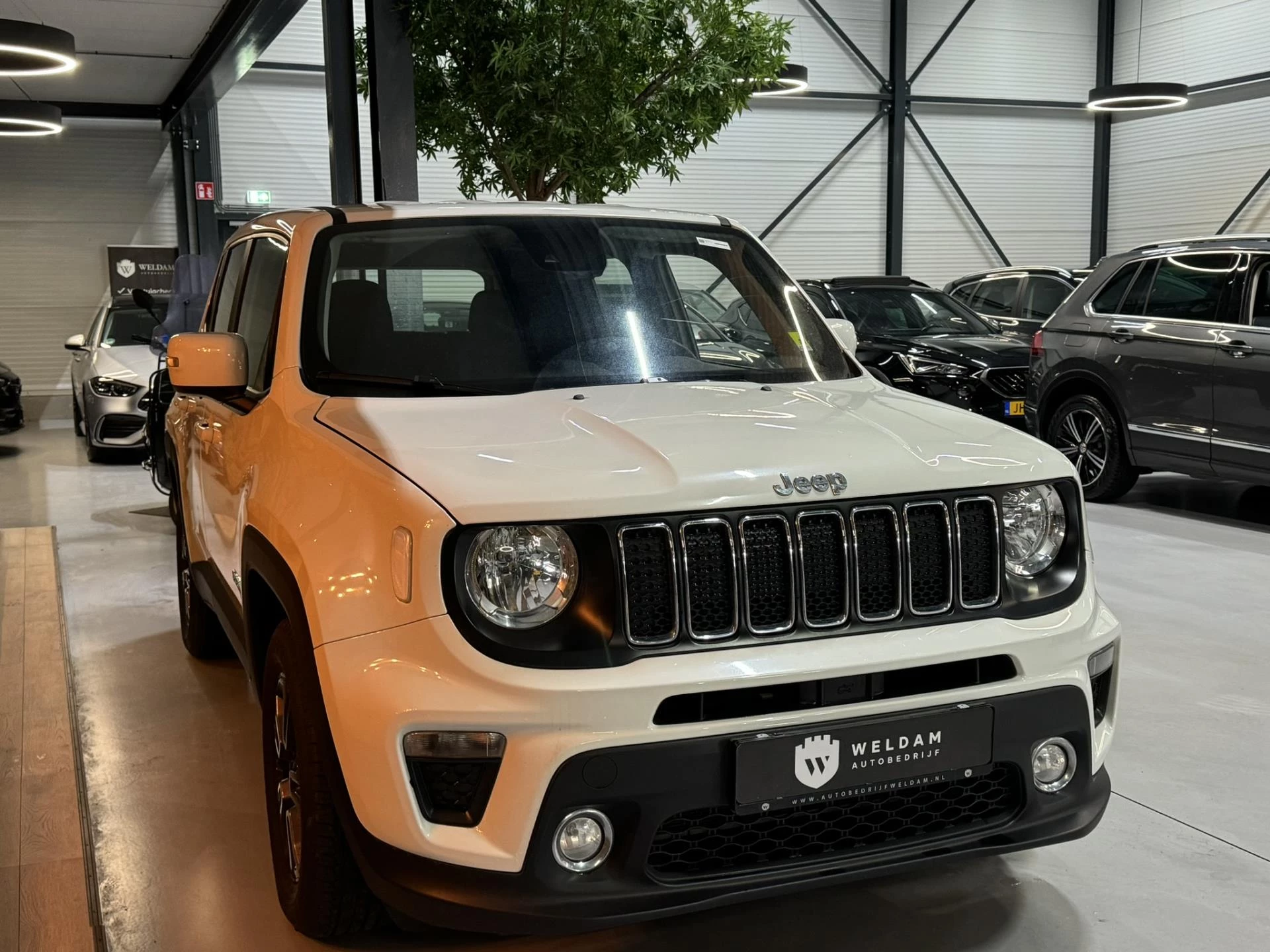 Hoofdafbeelding Jeep Renegade