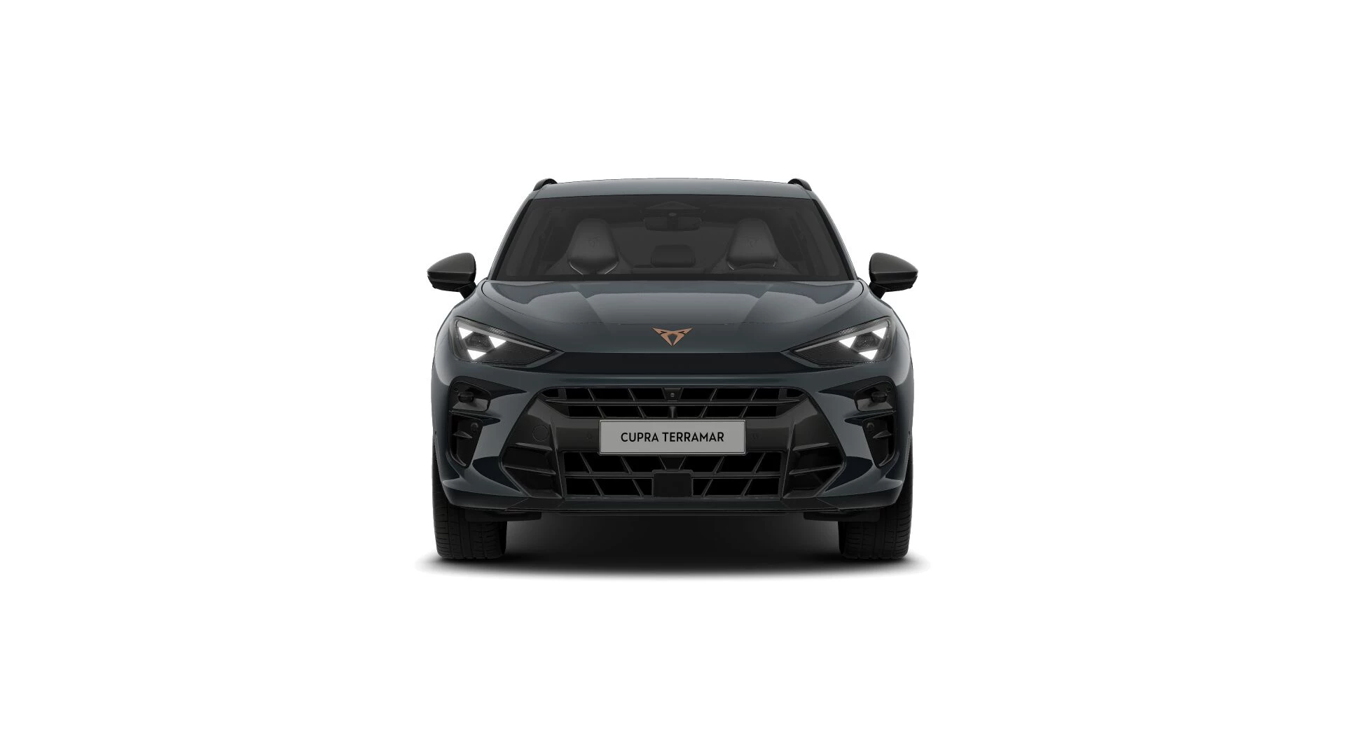 Hoofdafbeelding CUPRA Terramar