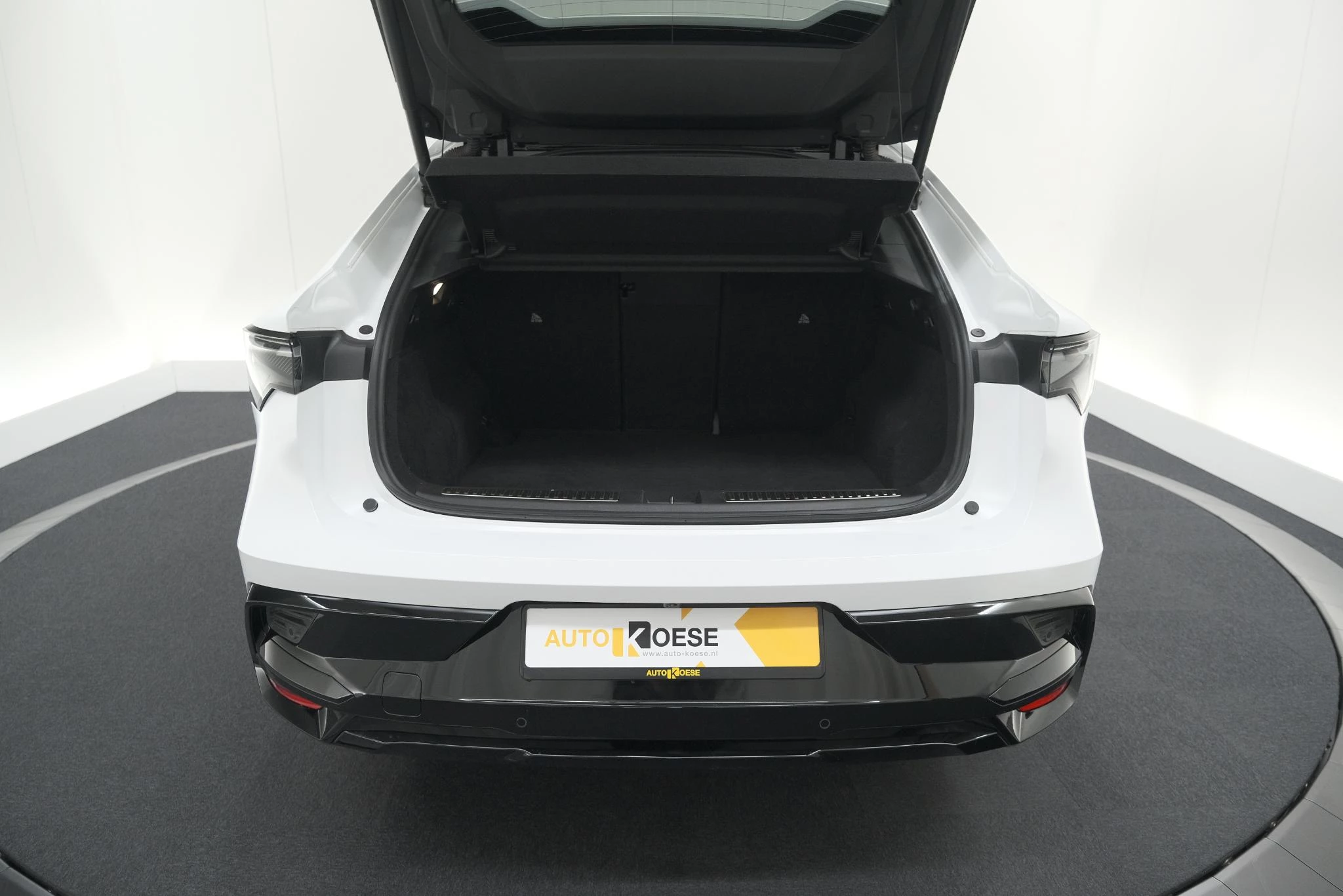 Hoofdafbeelding Renault Rafale