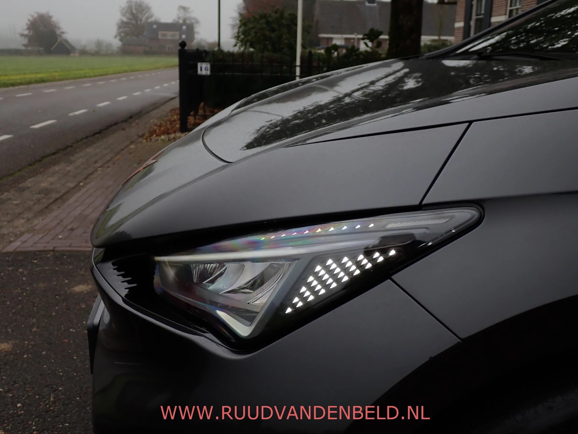 Hoofdafbeelding CUPRA Born