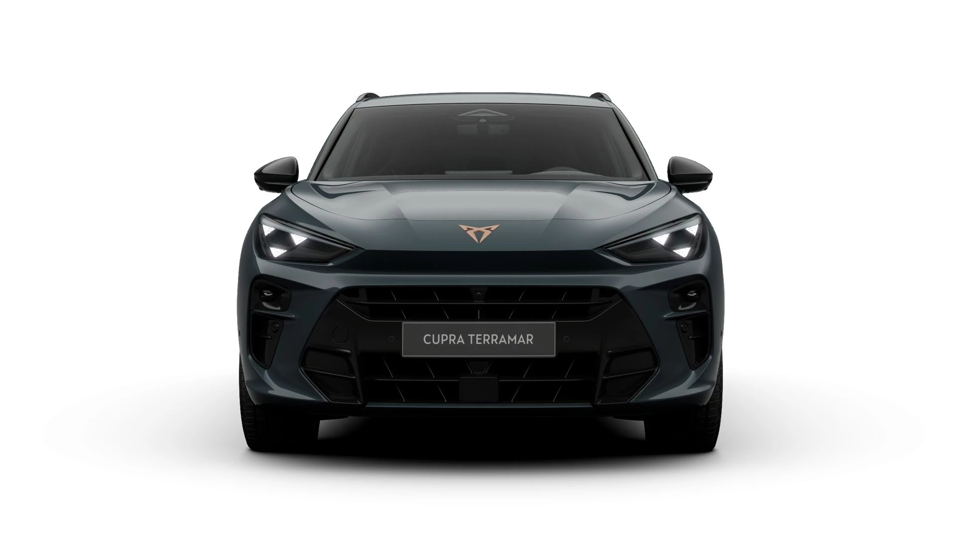 Hoofdafbeelding CUPRA Terramar
