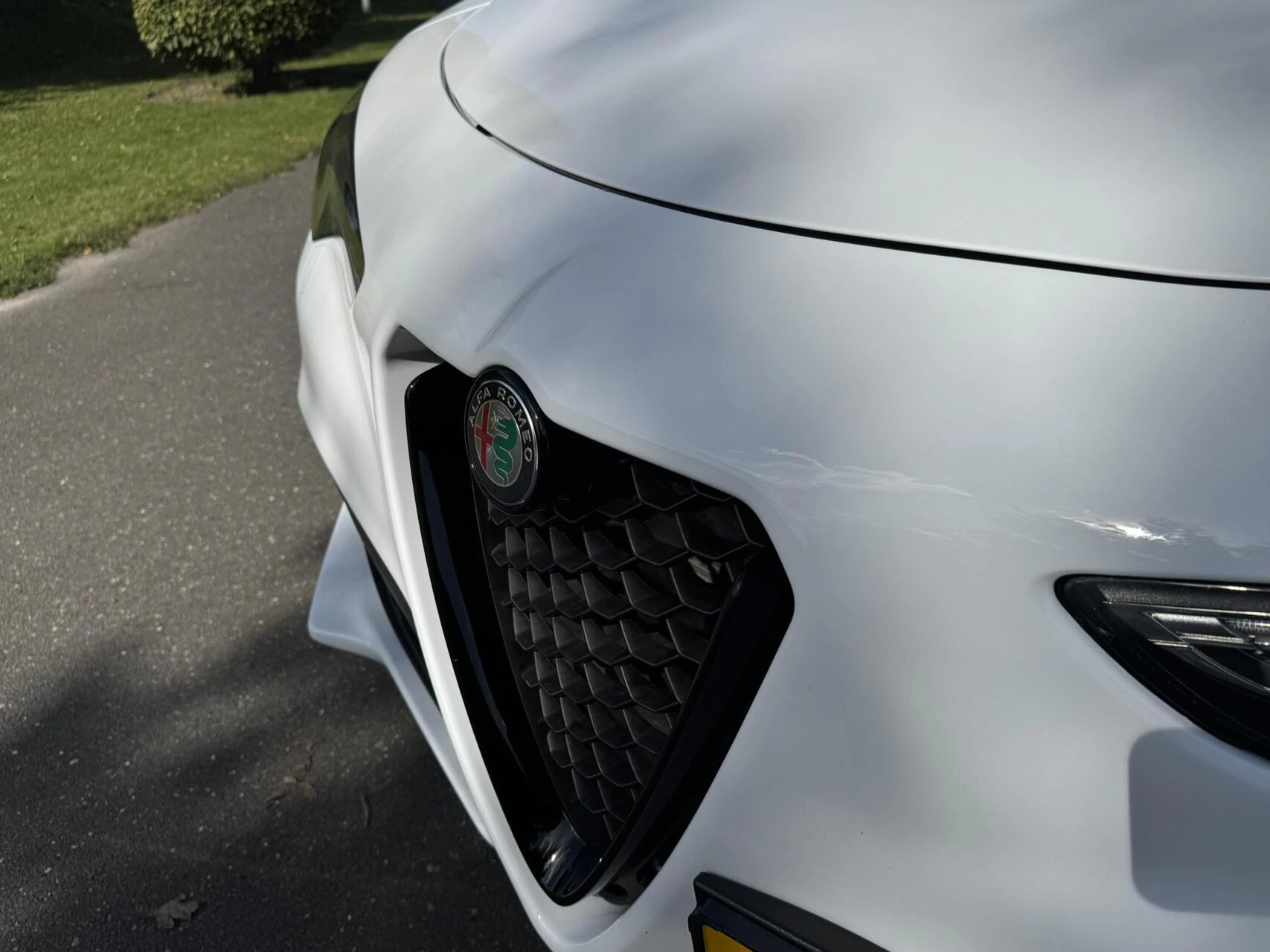 Hoofdafbeelding Alfa Romeo Stelvio