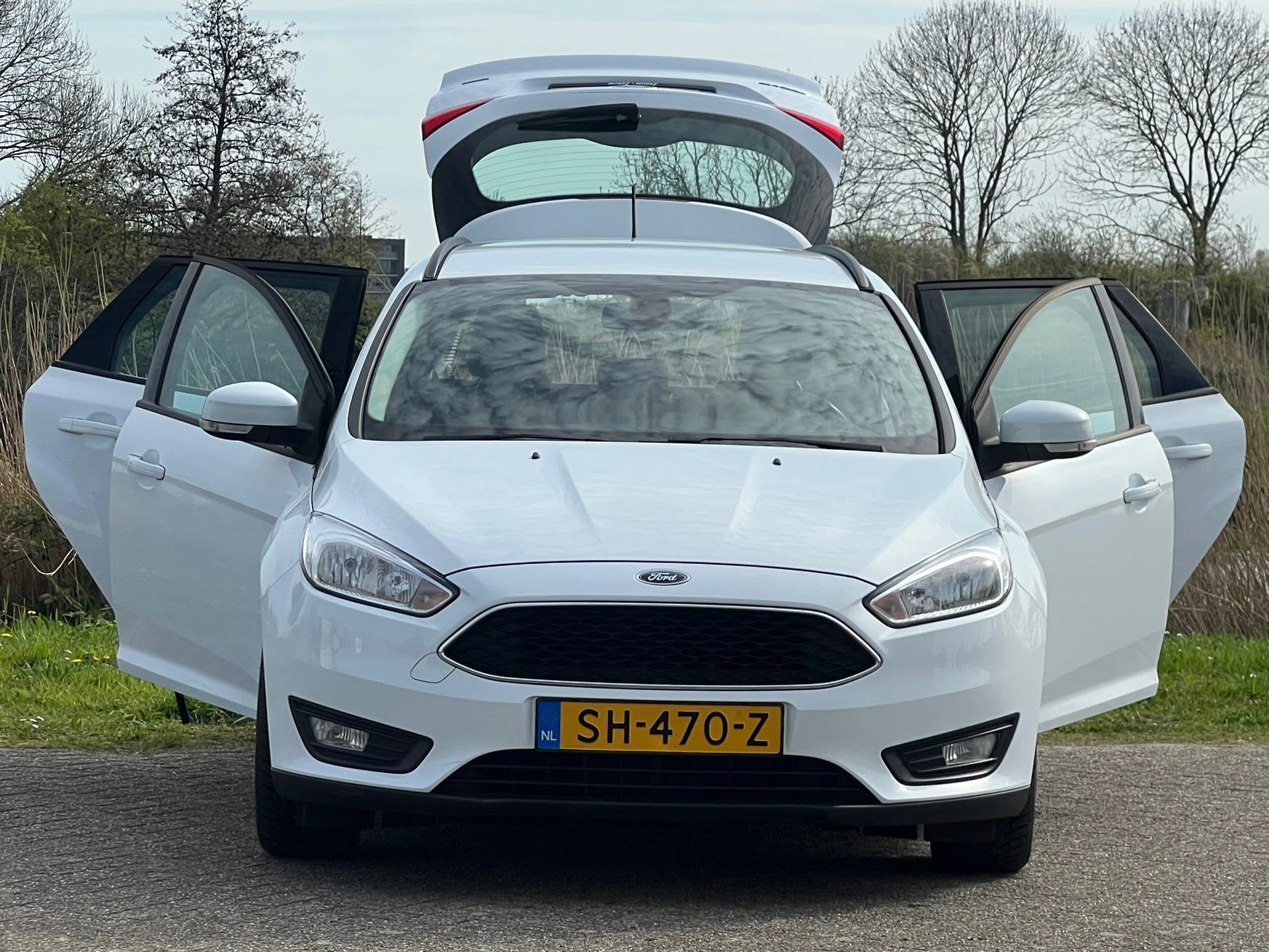 Hoofdafbeelding Ford Focus