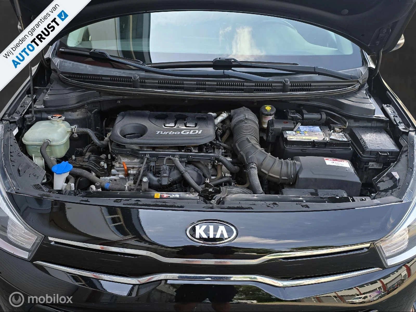 Hoofdafbeelding Kia Rio