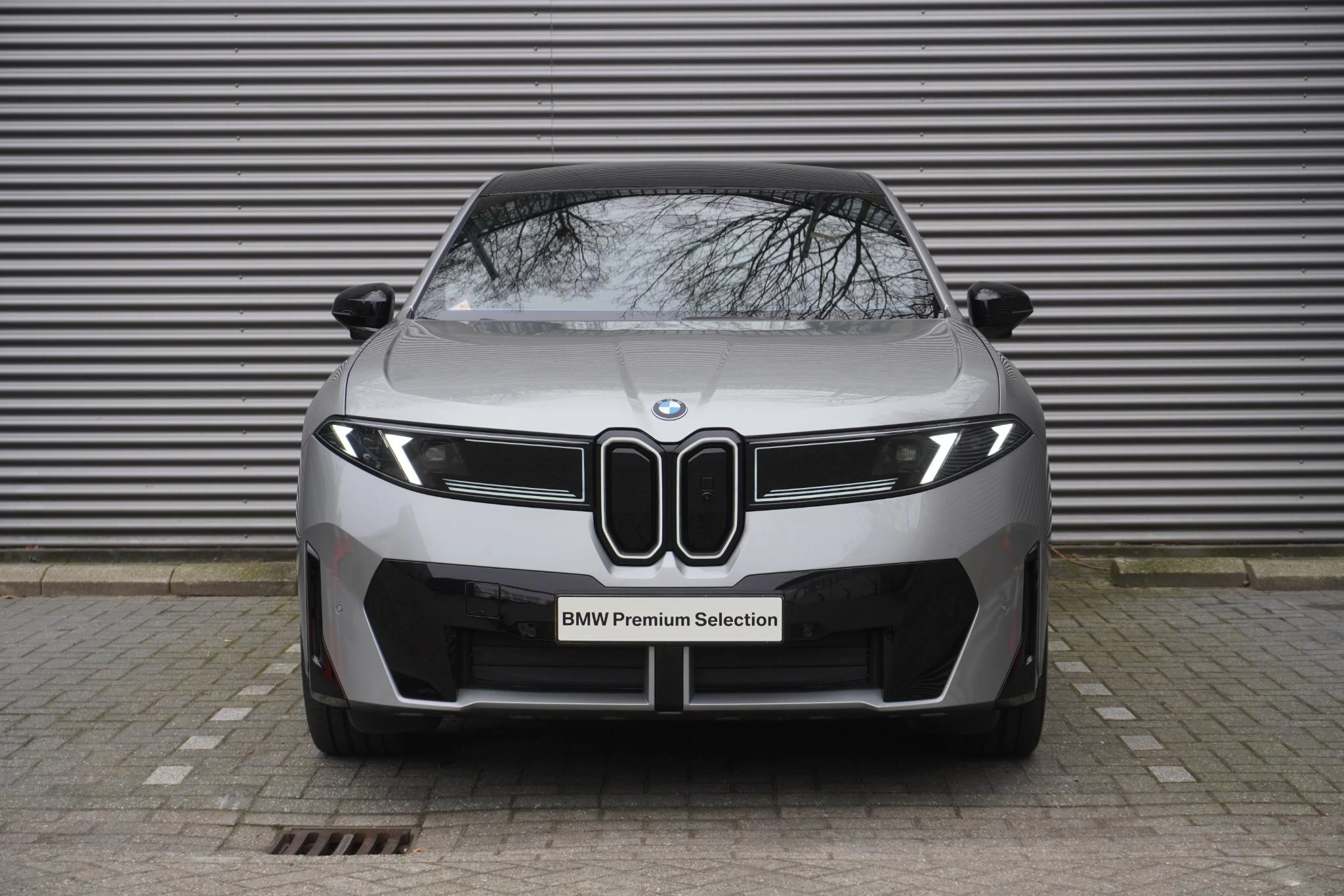 Hoofdafbeelding BMW iX3
