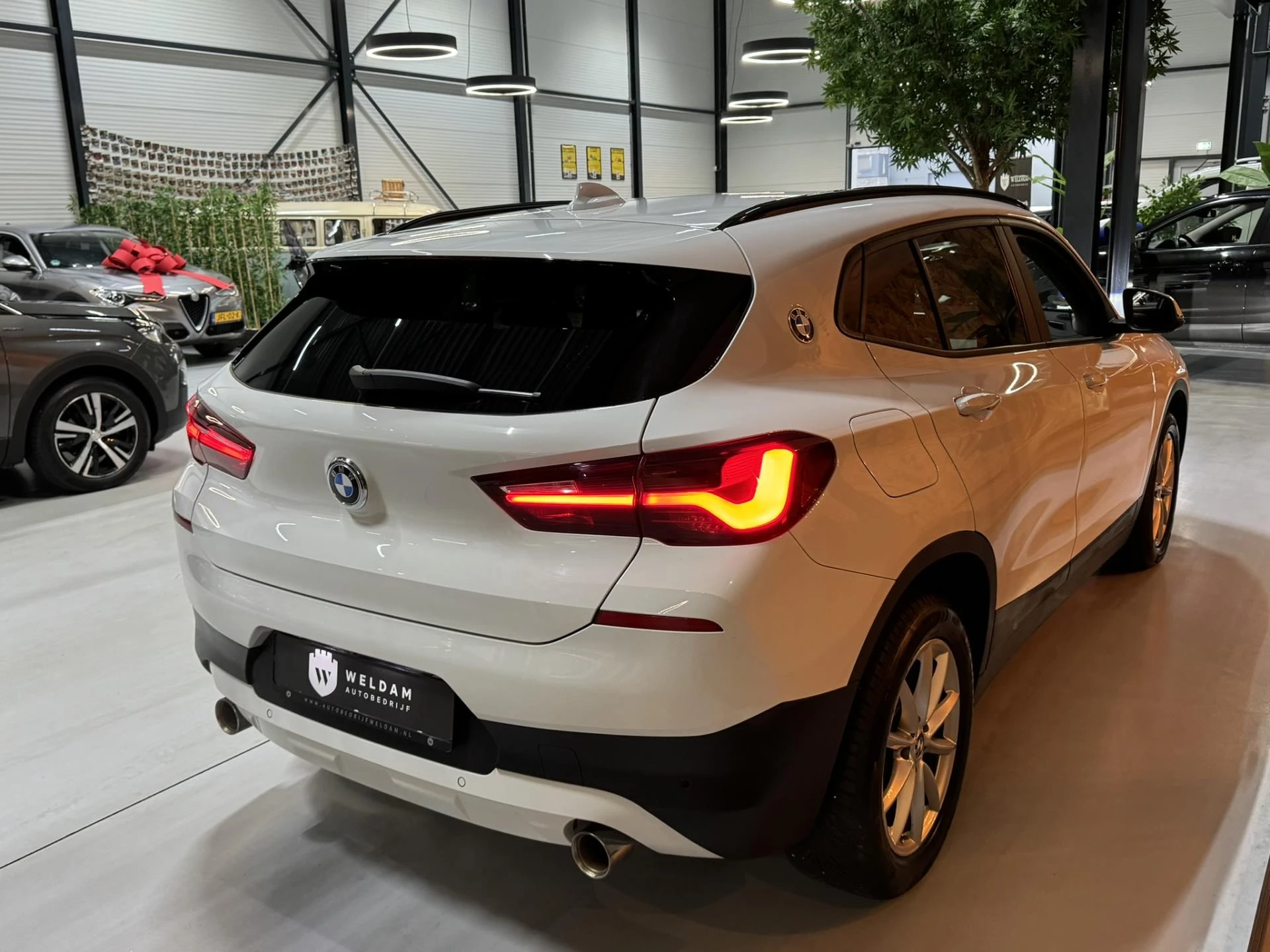 Hoofdafbeelding BMW X2