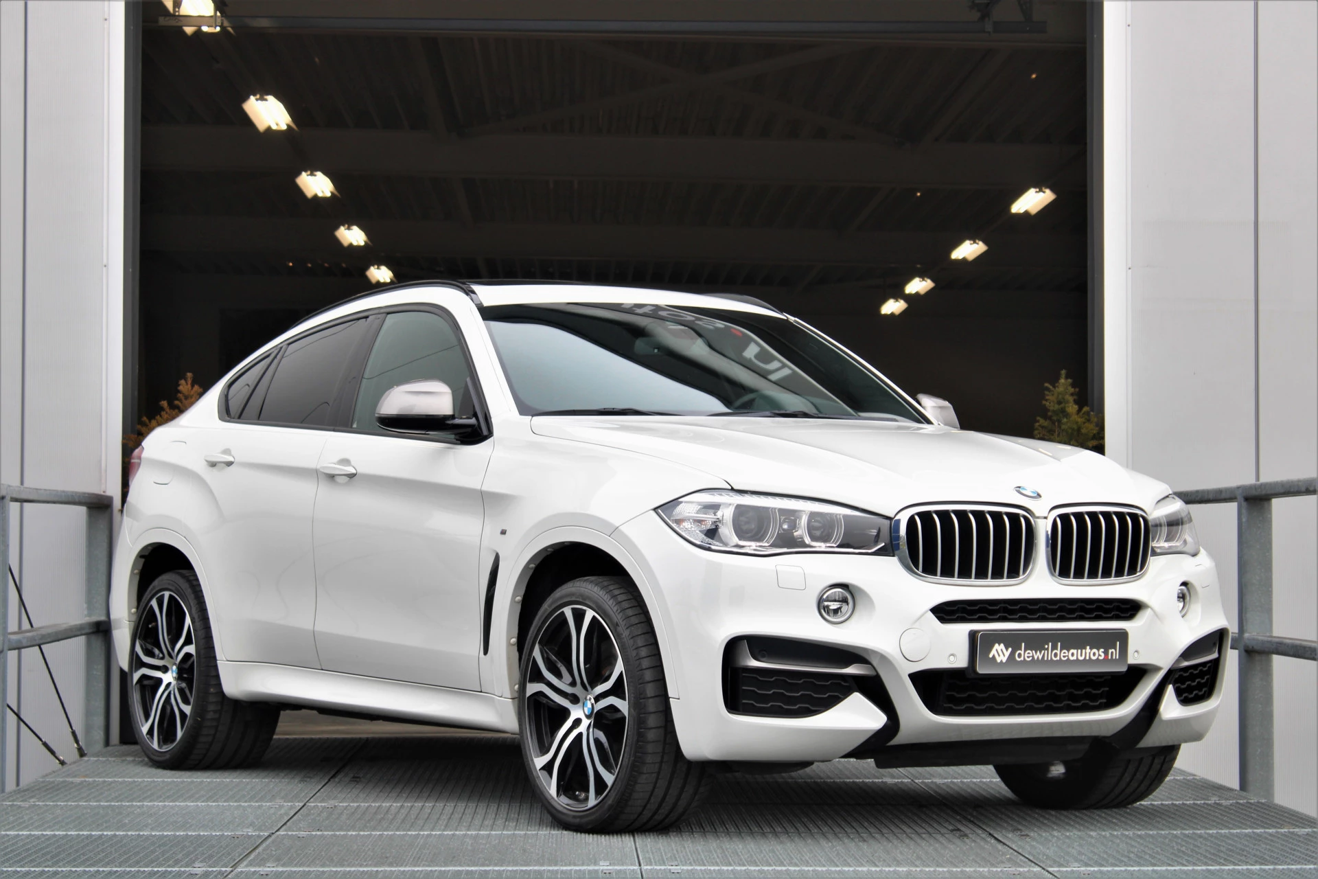 Hoofdafbeelding BMW X6