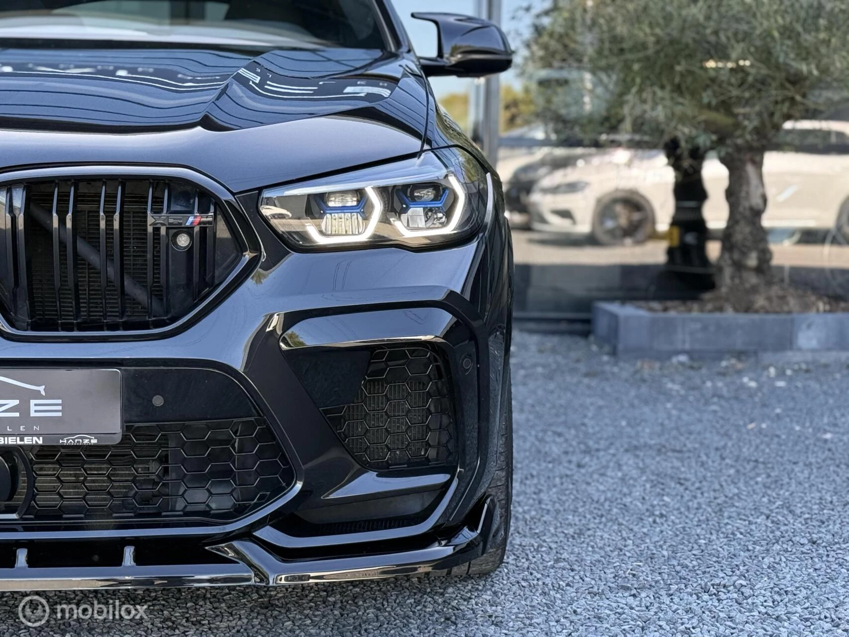 Hoofdafbeelding BMW X6