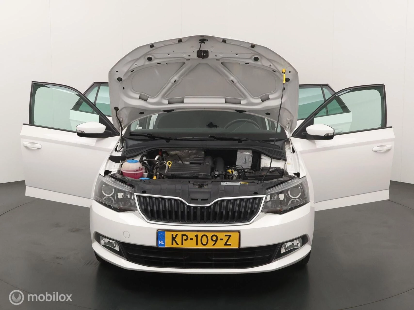Hoofdafbeelding Škoda Fabia