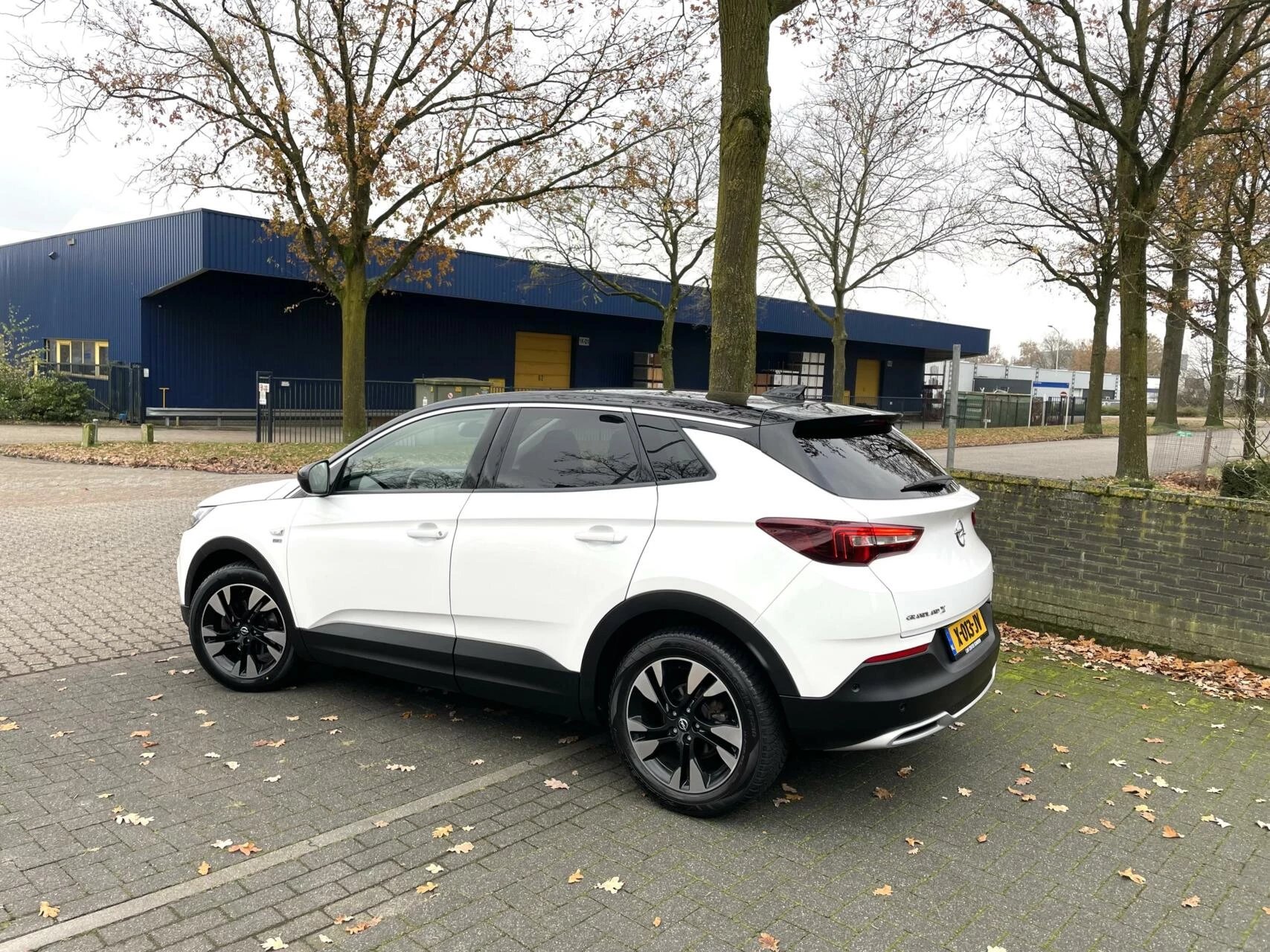 Hoofdafbeelding Opel Grandland X