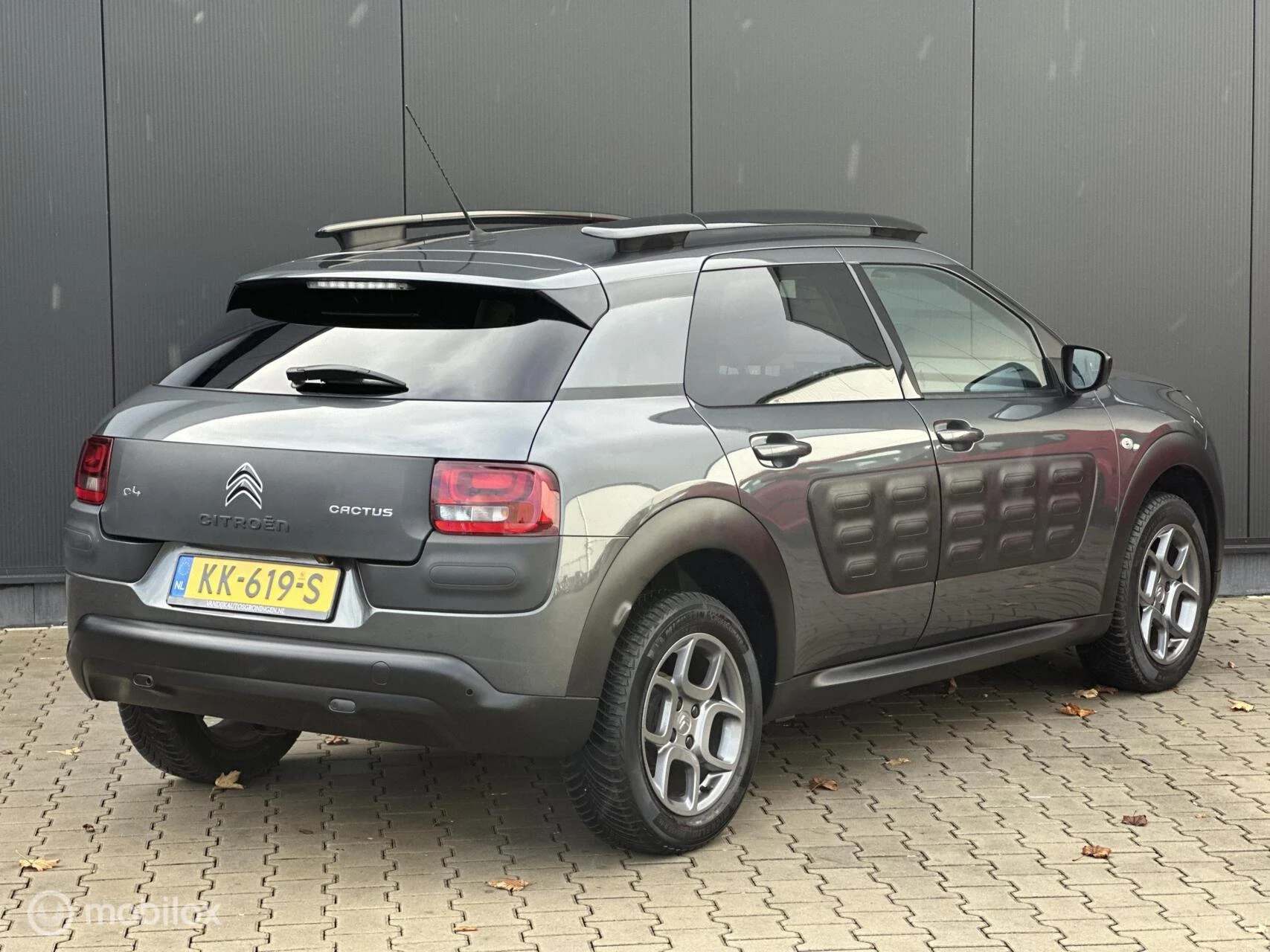 Hoofdafbeelding Citroën C4 Cactus