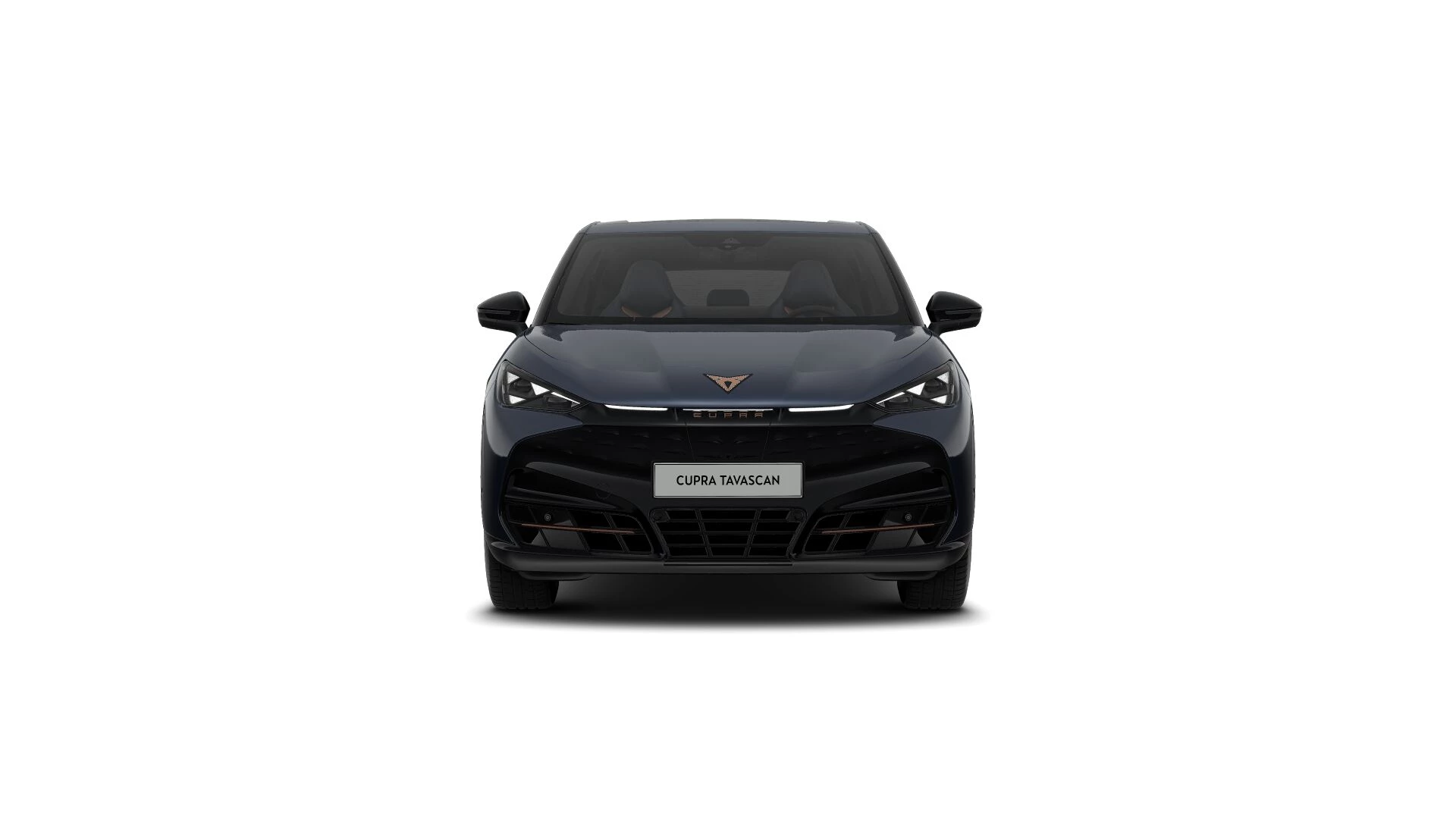 Hoofdafbeelding CUPRA Tavascan