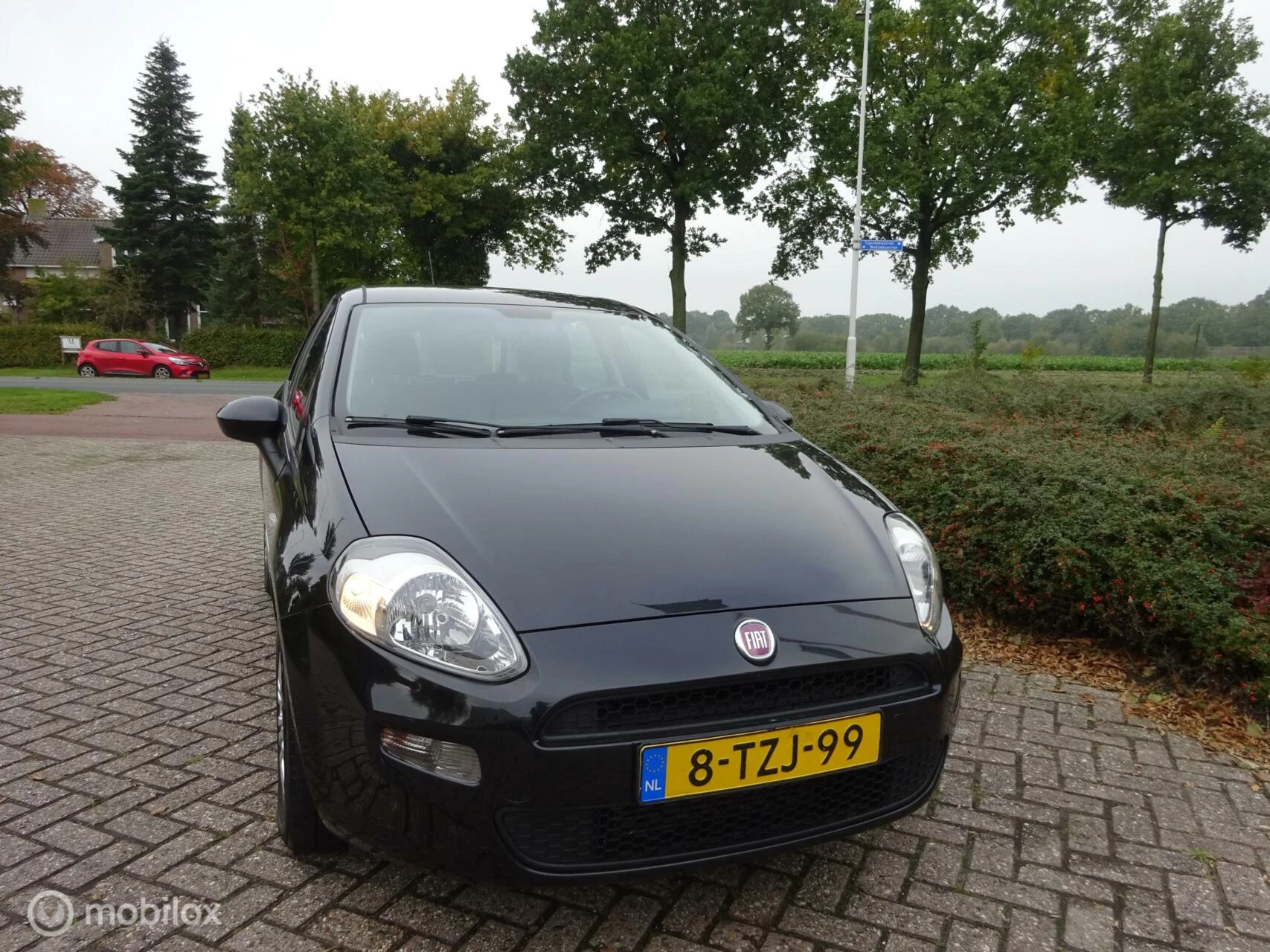 Hoofdafbeelding Fiat Punto