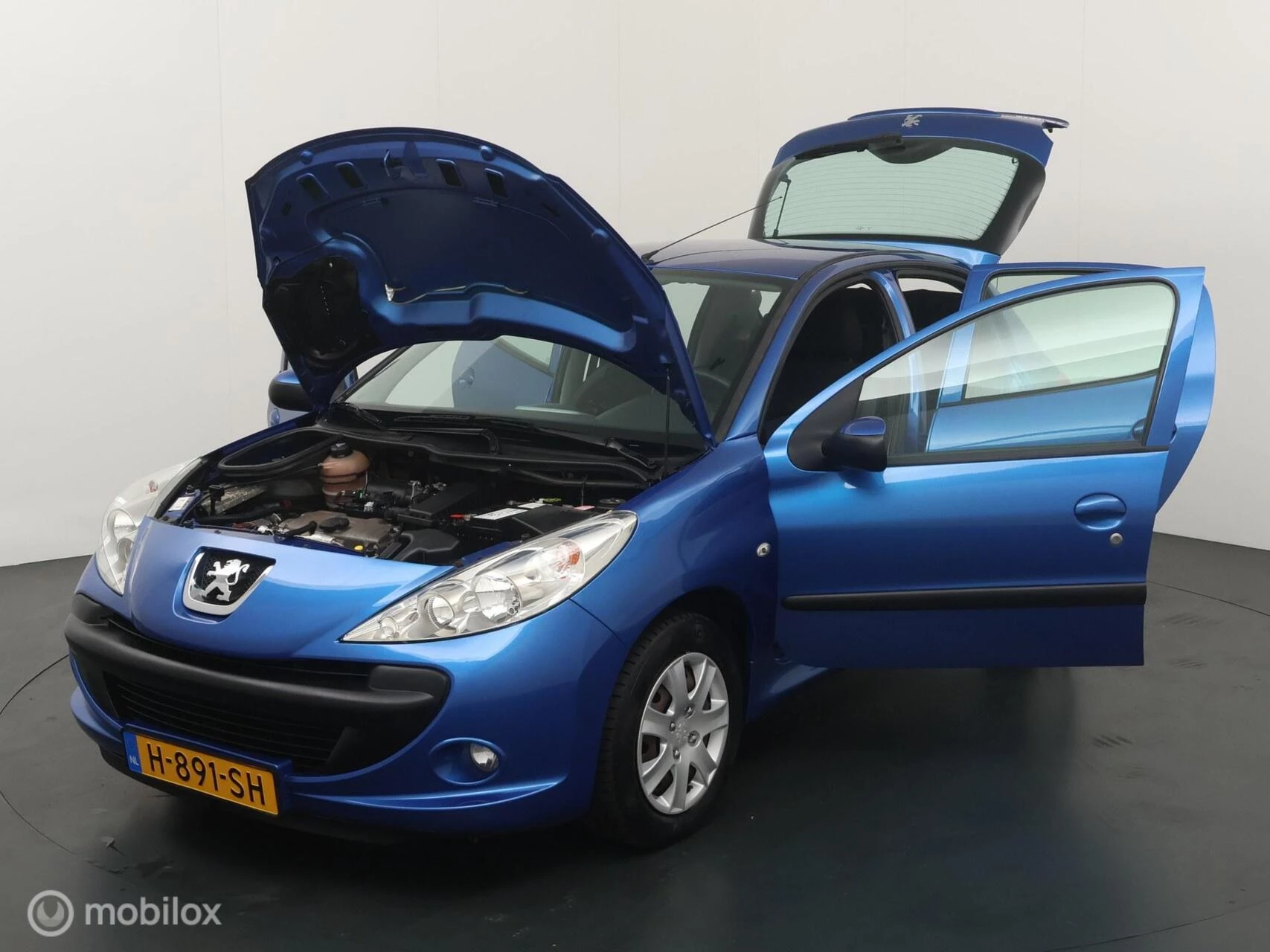 Hoofdafbeelding Peugeot 206