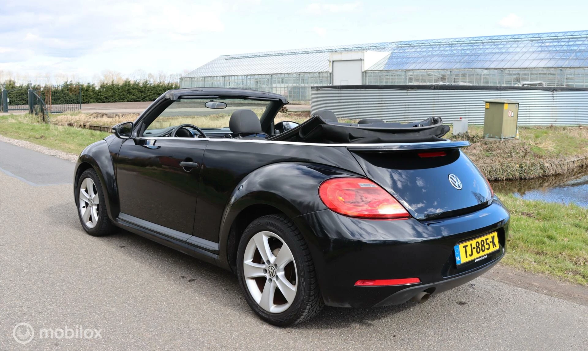 Hoofdafbeelding Volkswagen Beetle