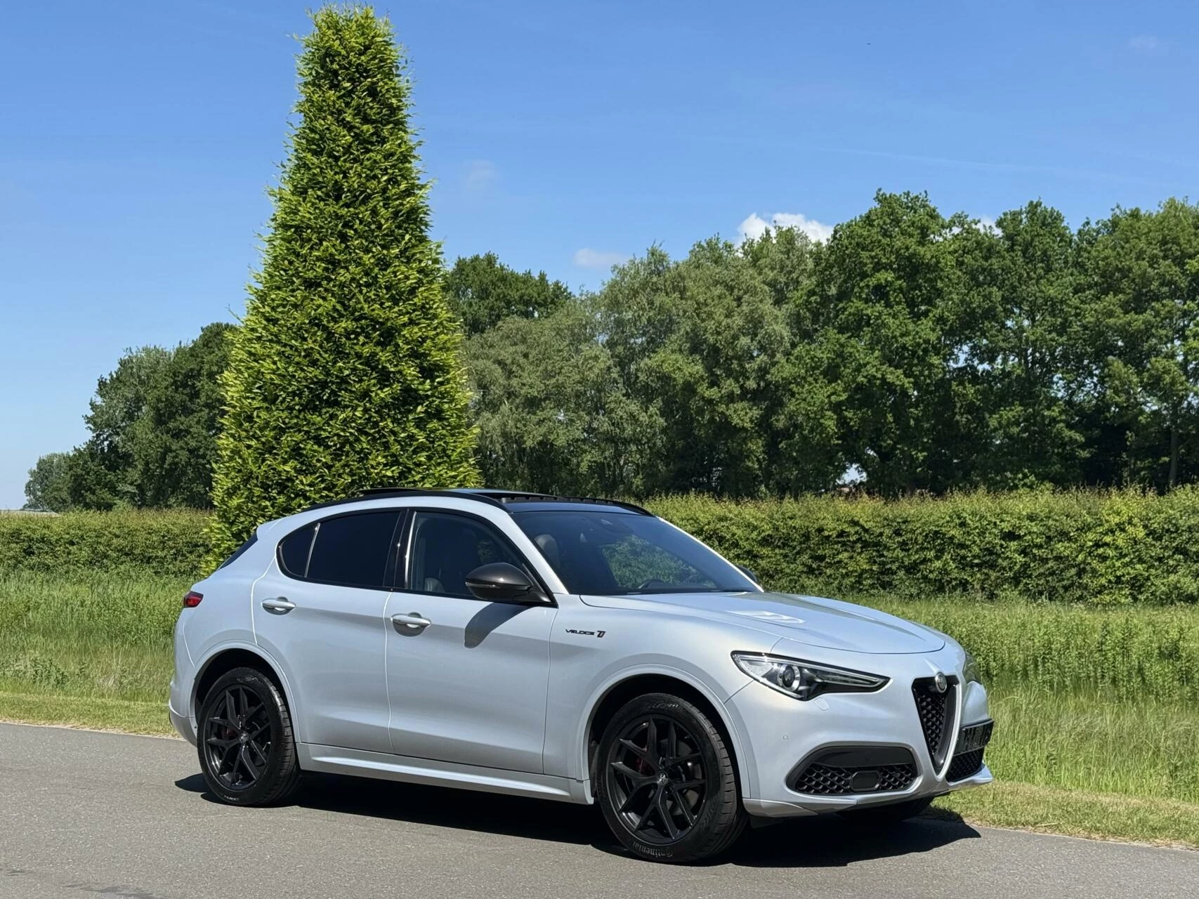 Hoofdafbeelding Alfa Romeo Stelvio