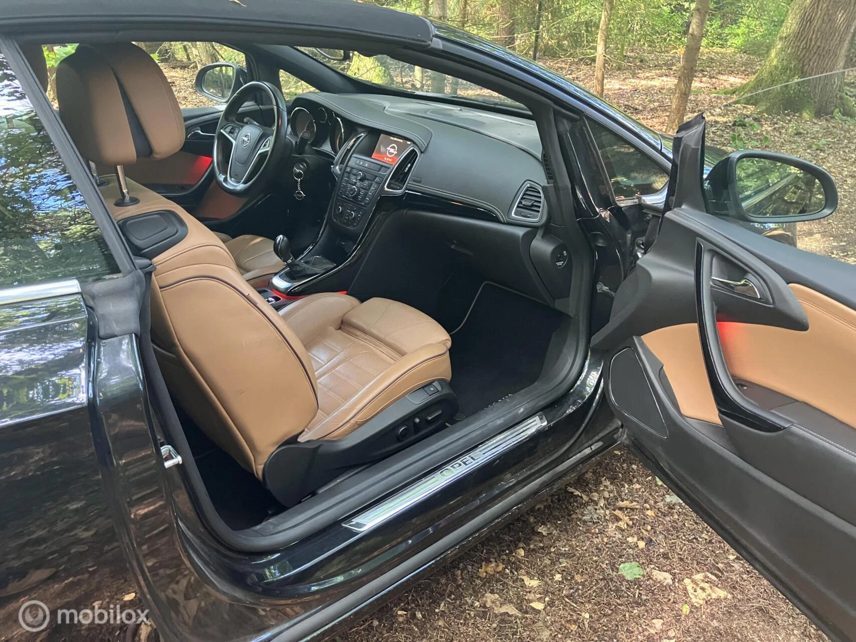 Hoofdafbeelding Opel Cascada