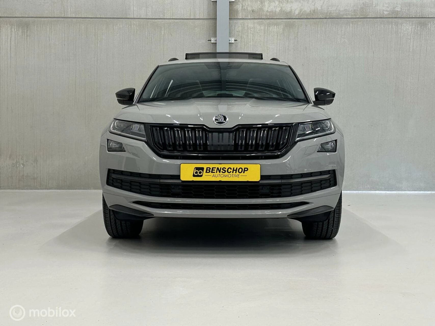 Hoofdafbeelding Škoda Kodiaq