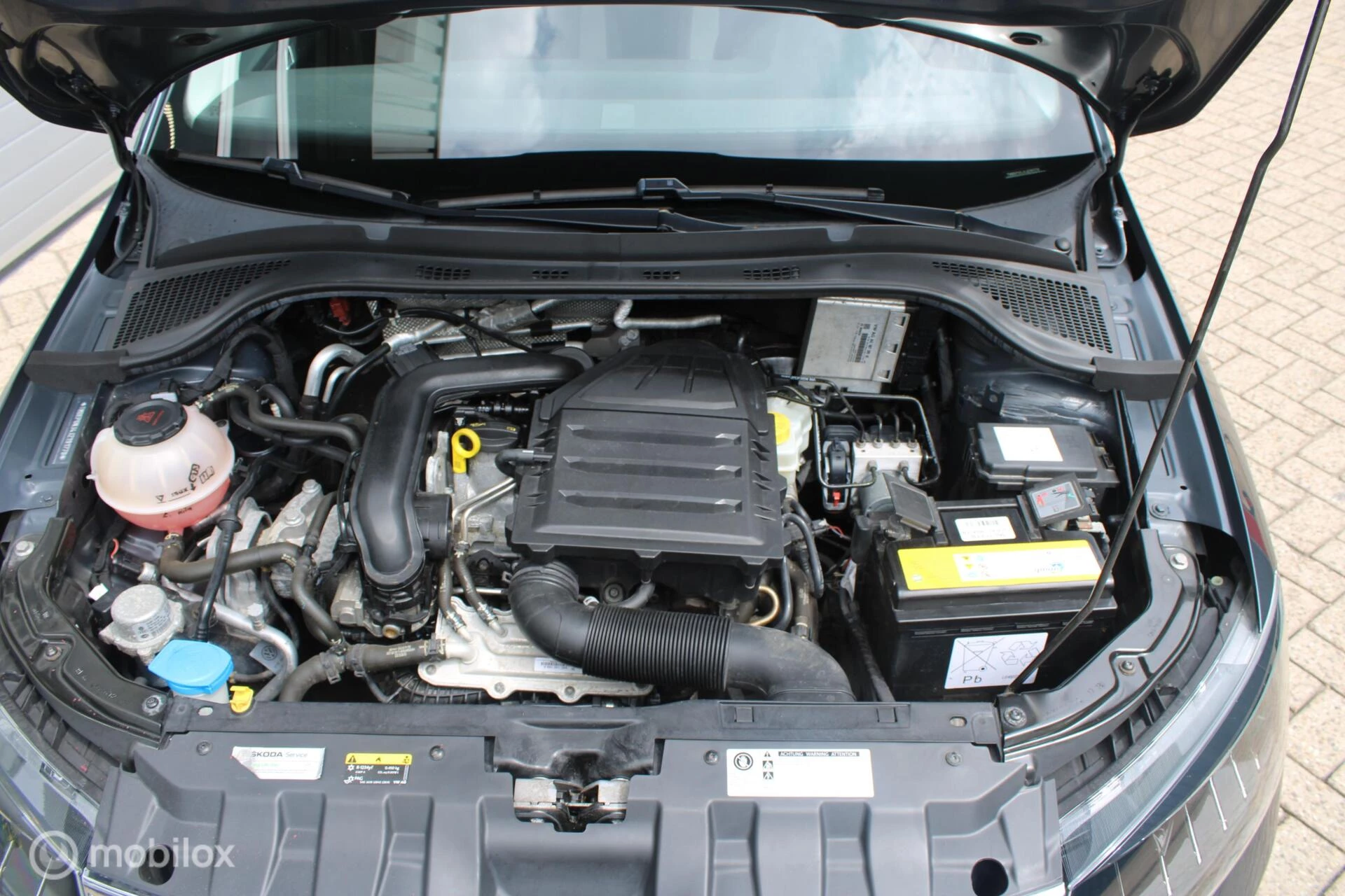 Hoofdafbeelding Škoda Fabia