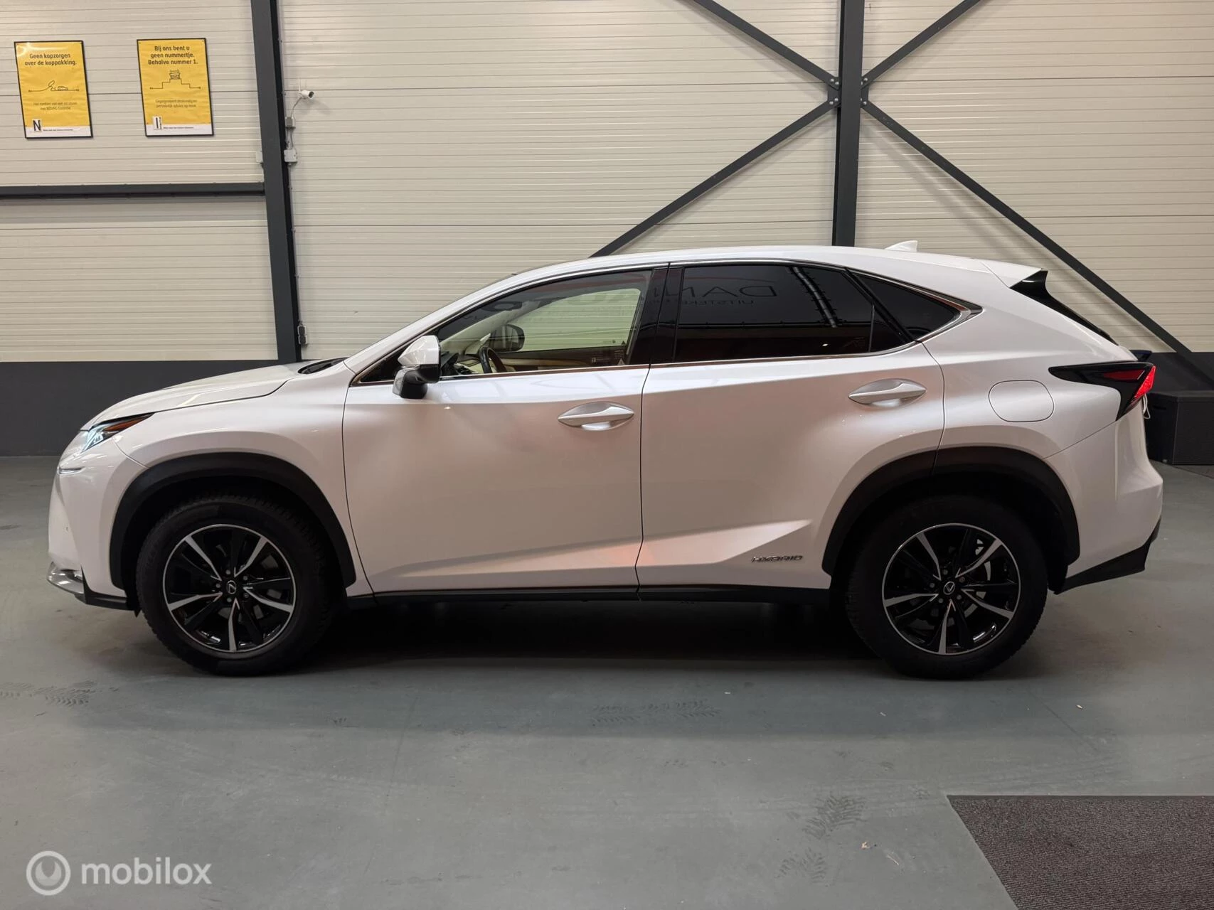 Hoofdafbeelding Lexus NX