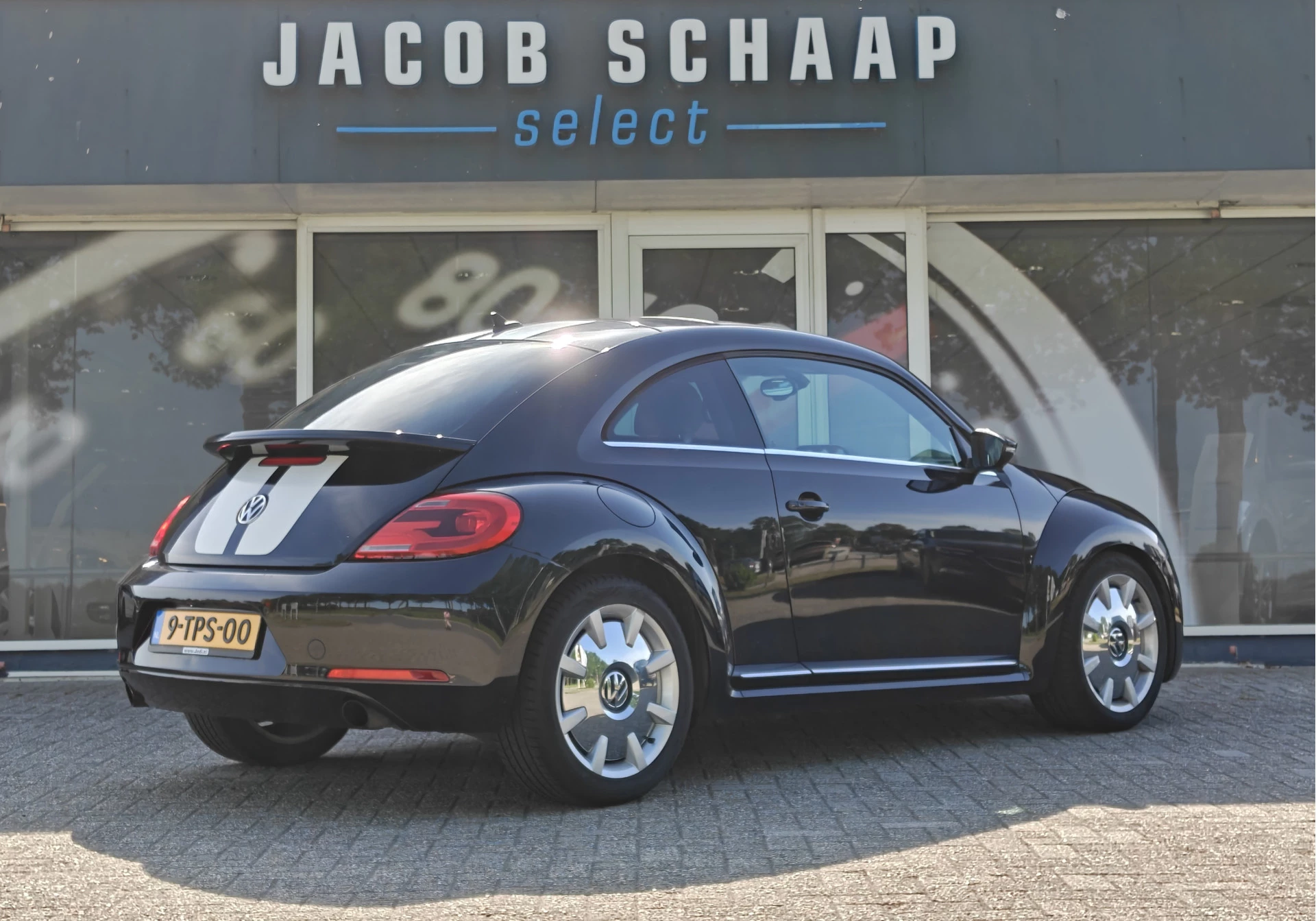 Hoofdafbeelding Volkswagen Beetle