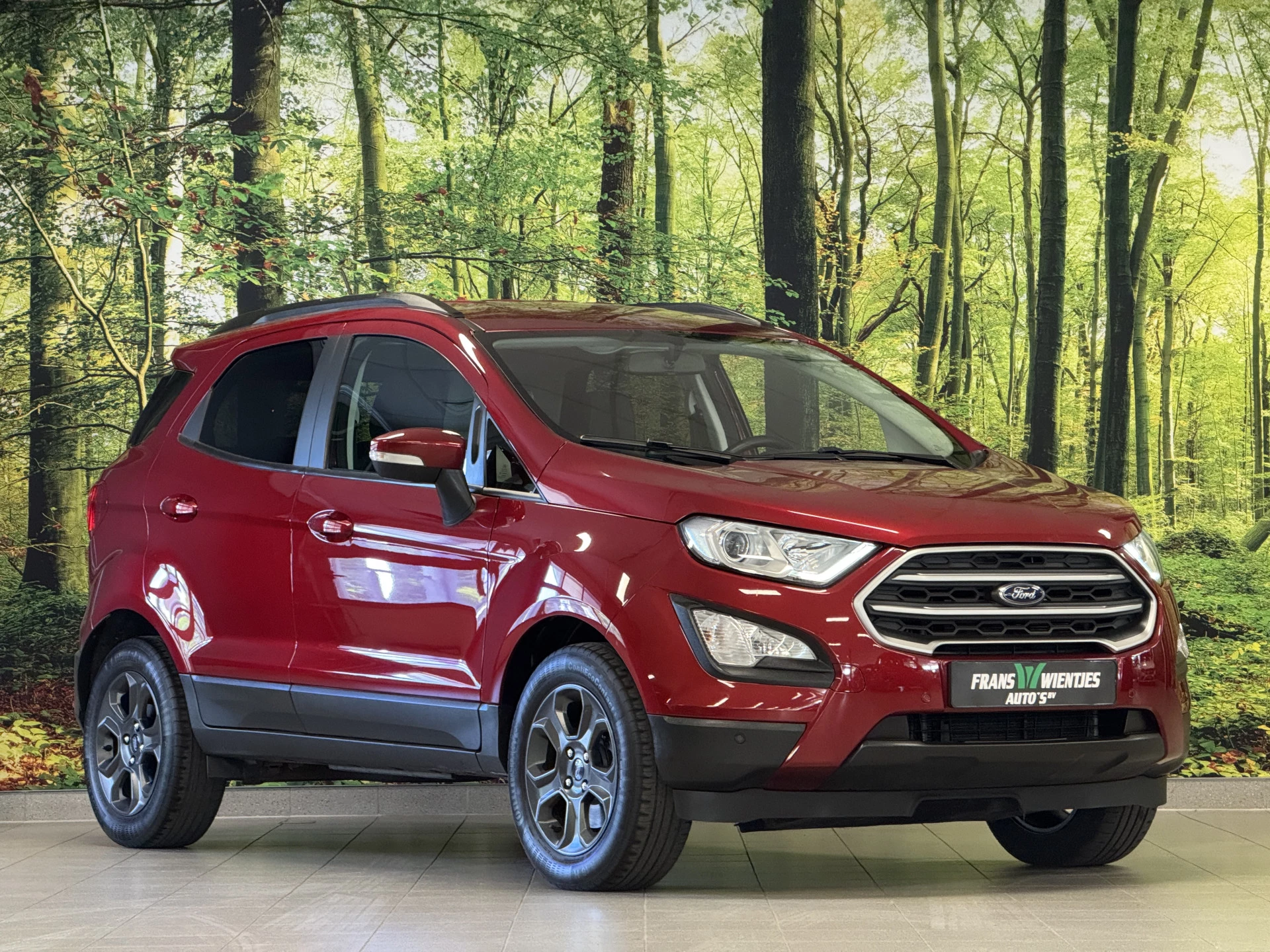 Hoofdafbeelding Ford EcoSport