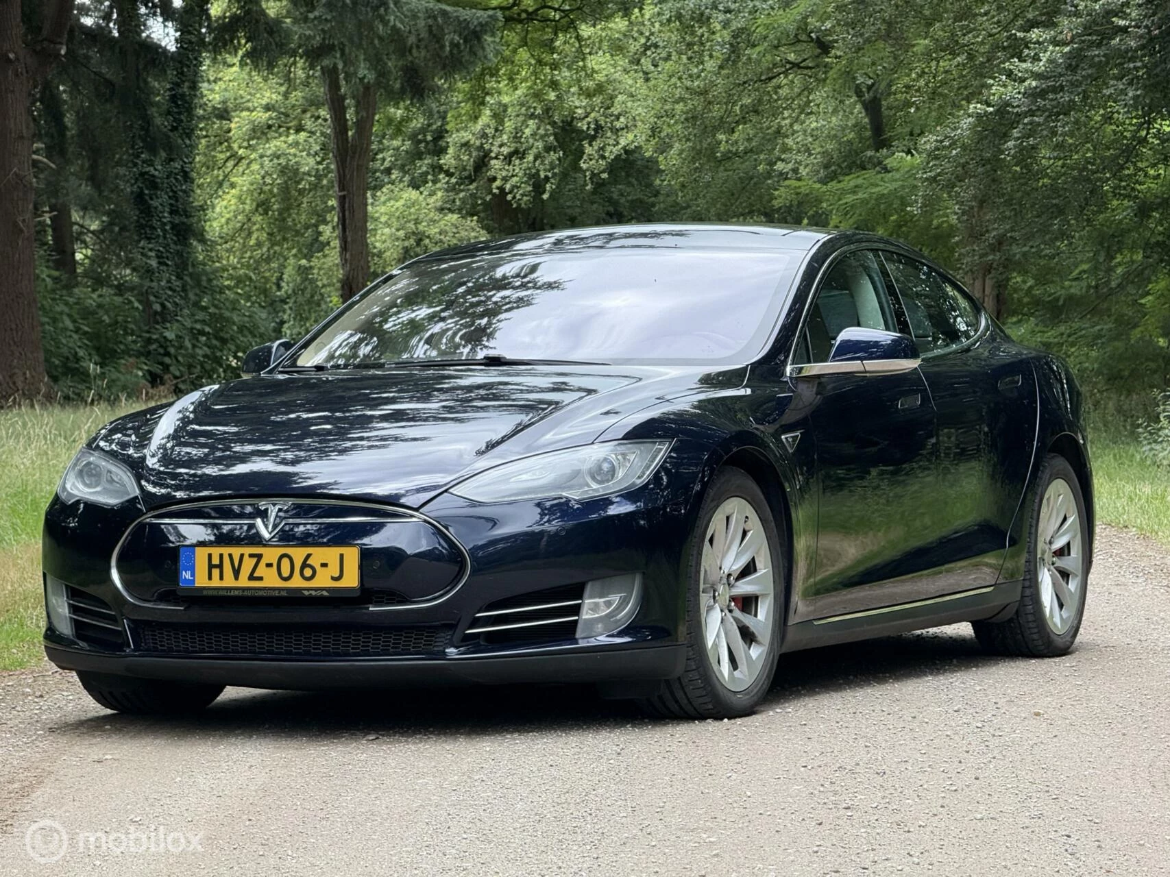 Hoofdafbeelding Tesla Model S