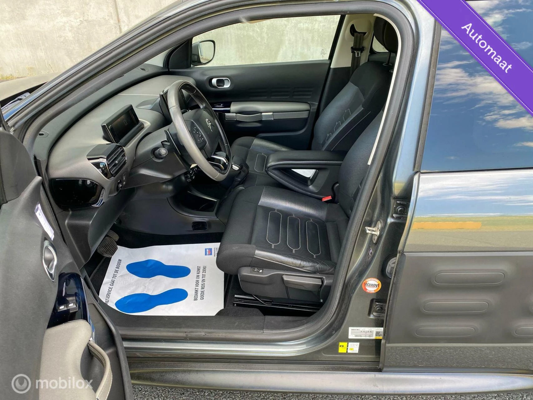 Hoofdafbeelding Citroën C4 Cactus