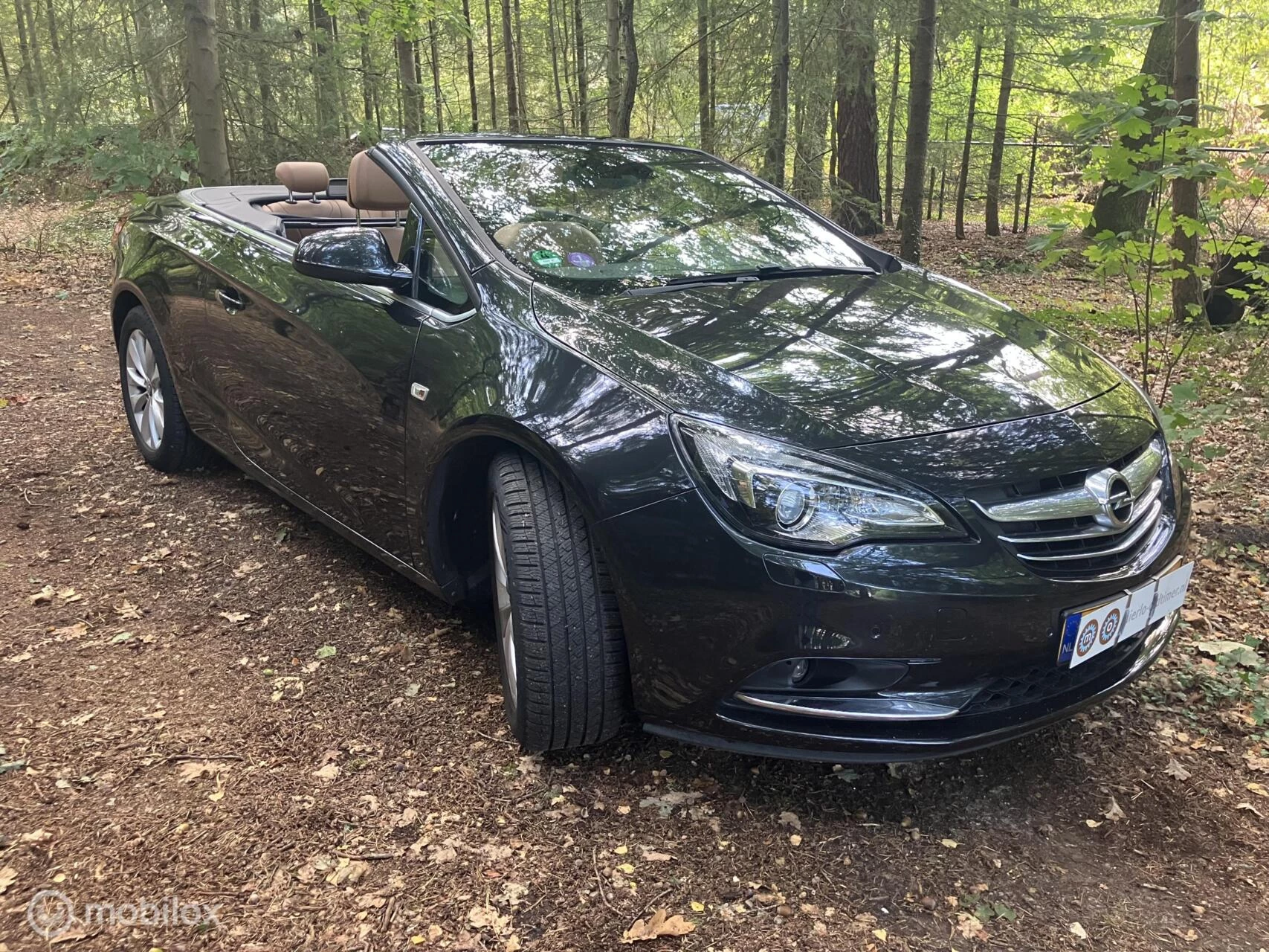 Hoofdafbeelding Opel Cascada