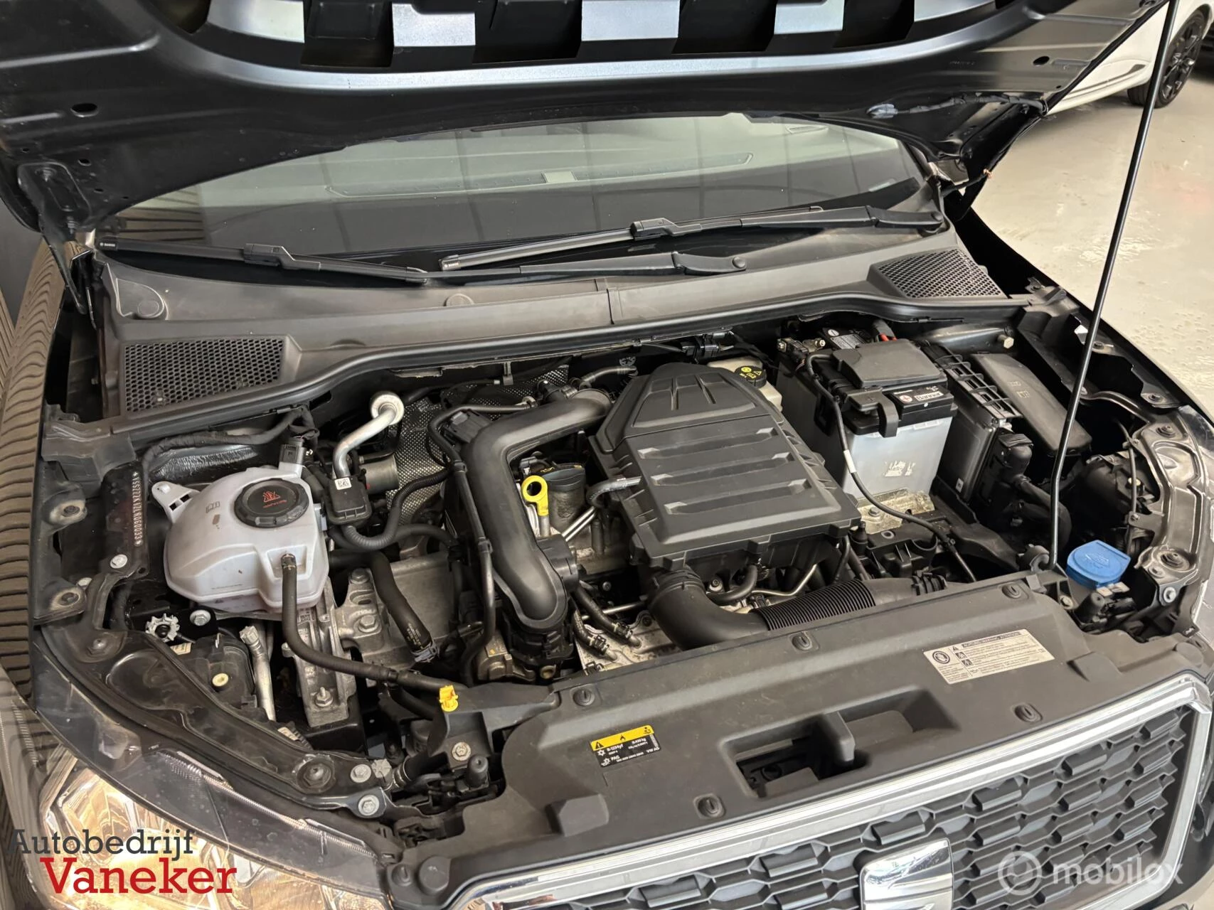 Hoofdafbeelding SEAT Arona