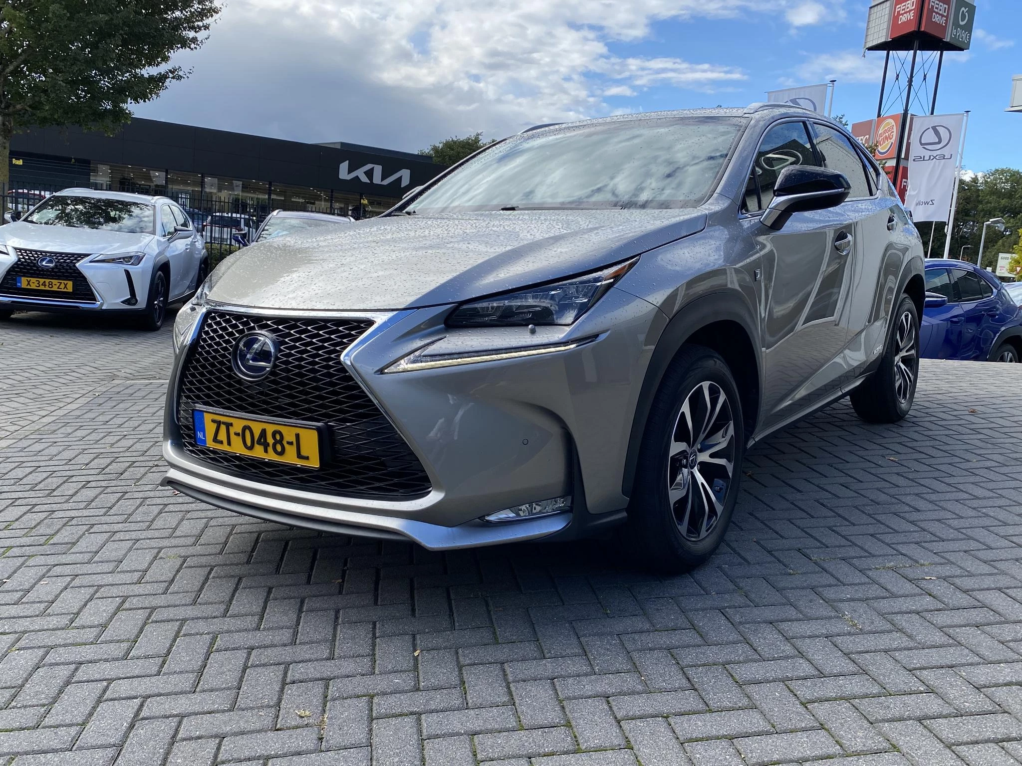 Hoofdafbeelding Lexus NX