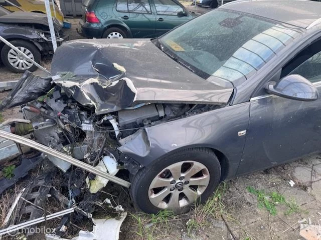 Hoofdafbeelding Opel Insignia