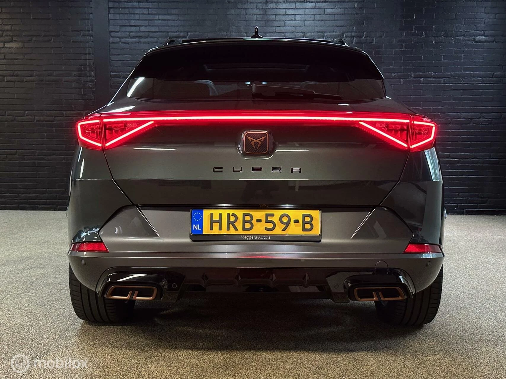 Hoofdafbeelding CUPRA Formentor