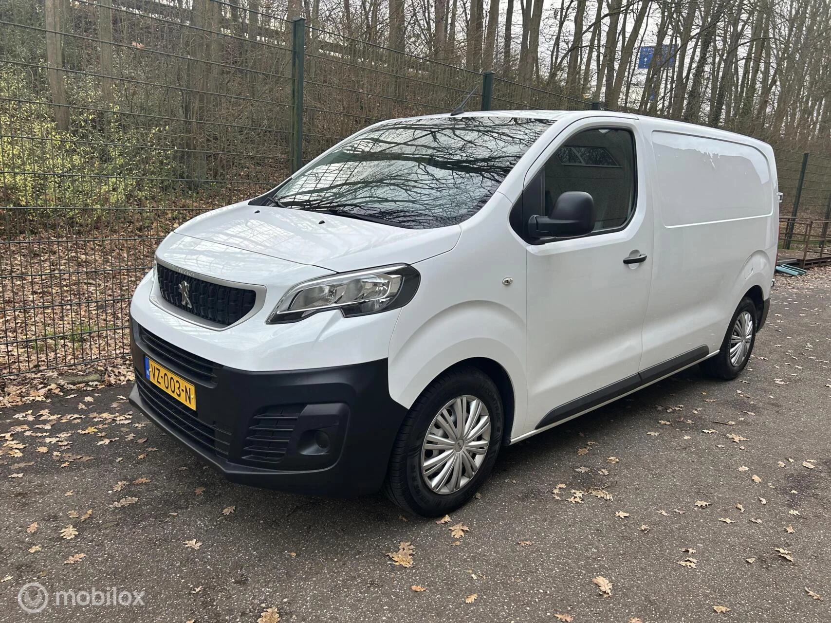 Hoofdafbeelding Peugeot Expert