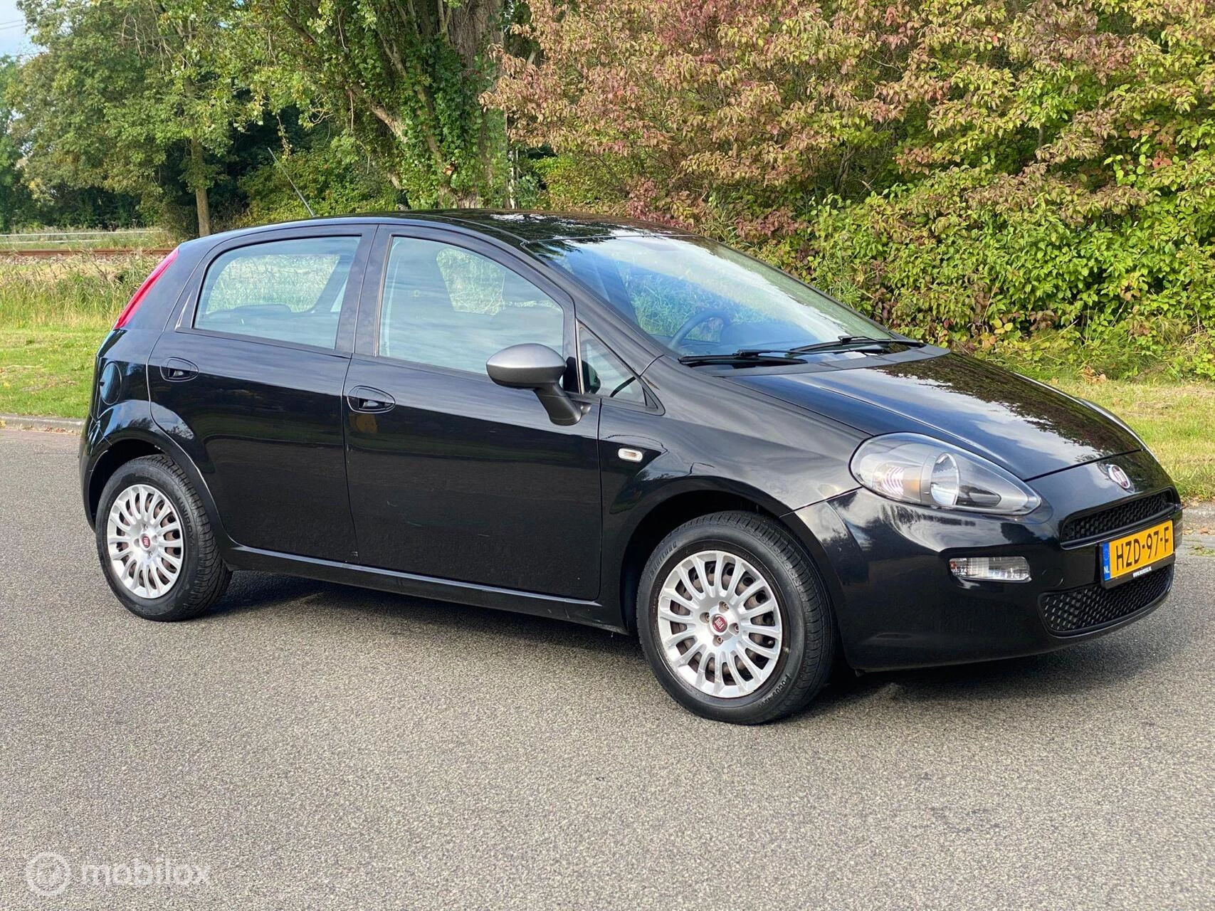 Hoofdafbeelding Fiat Punto