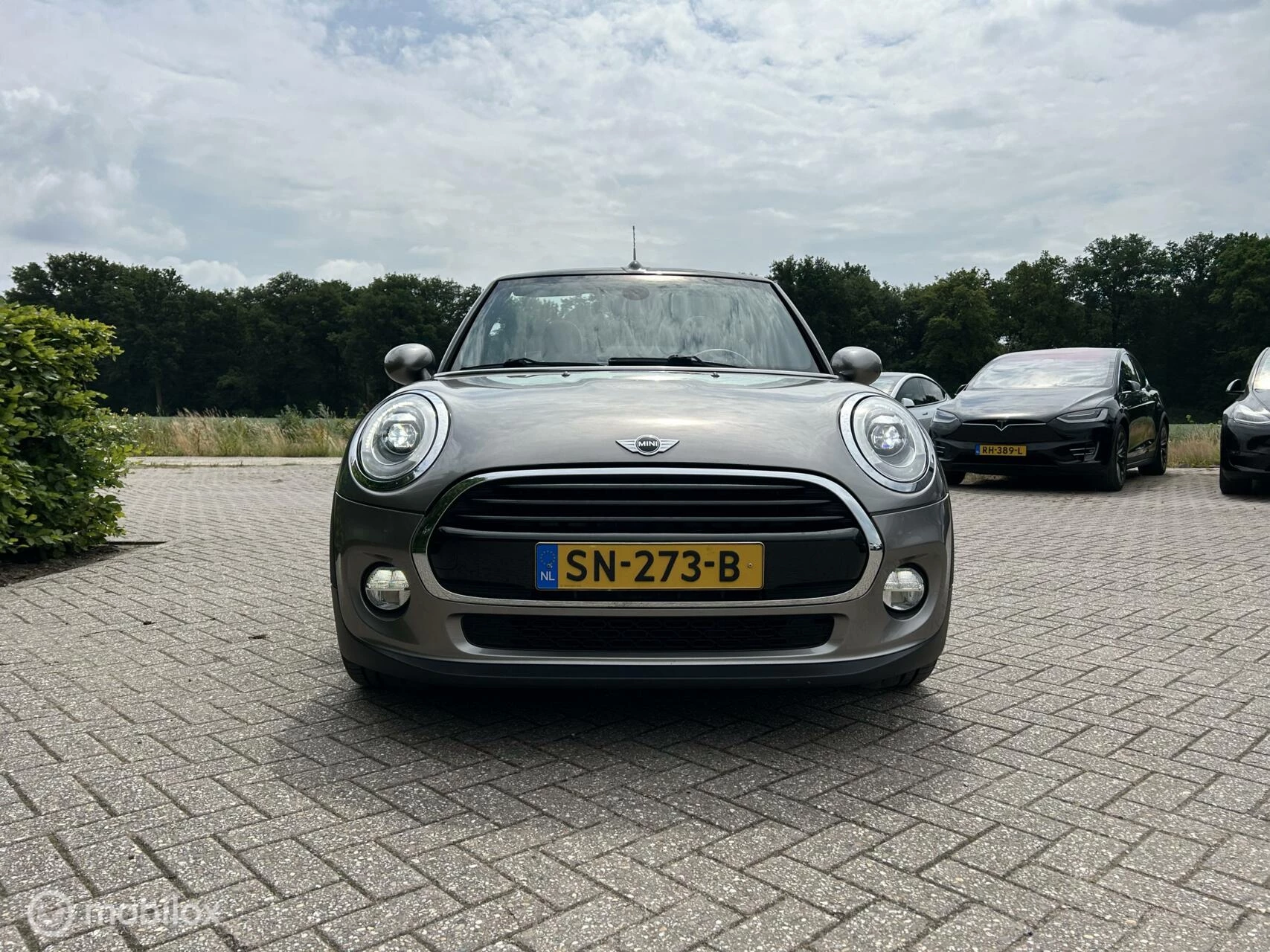 Hoofdafbeelding MINI Cooper Cabrio