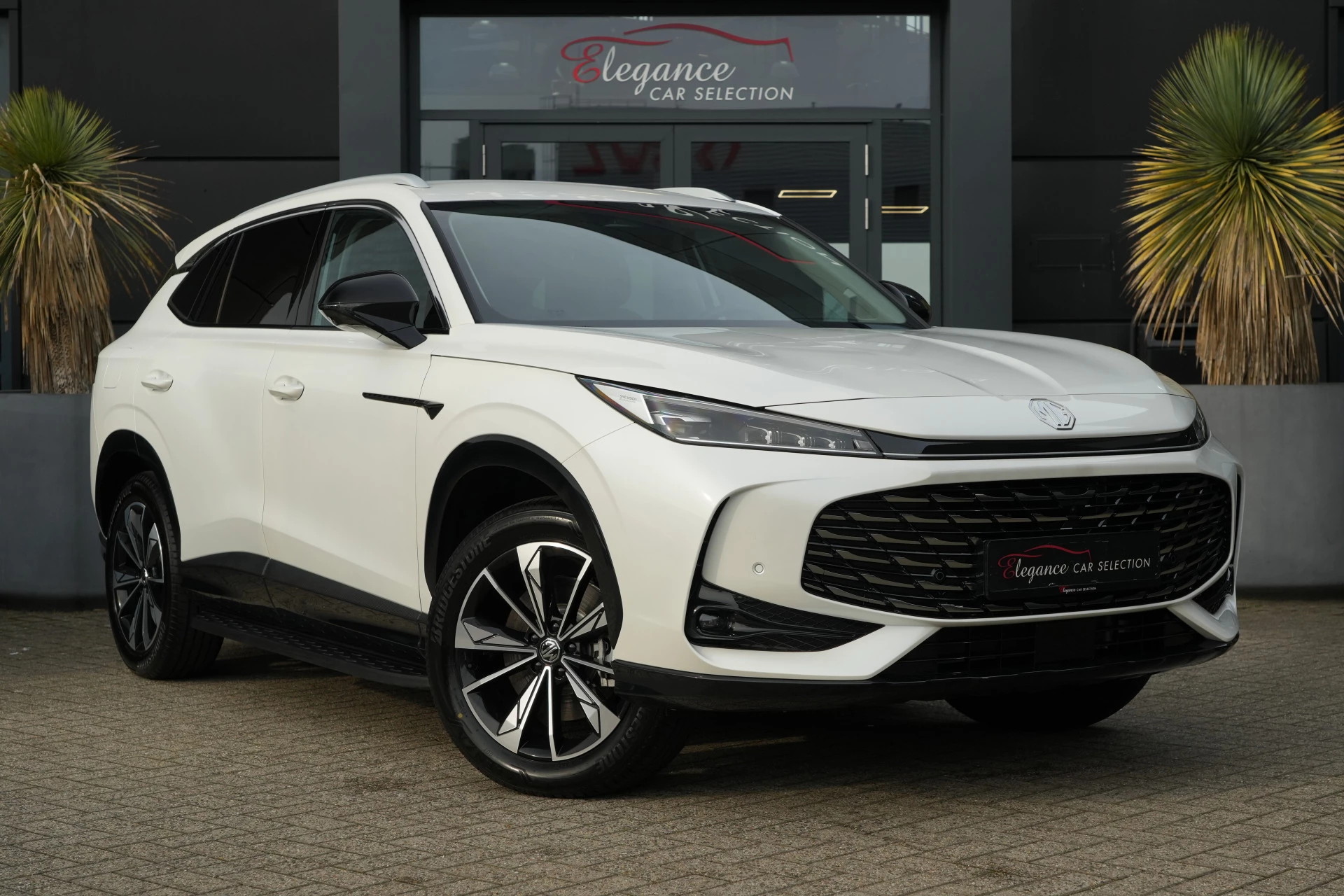 Hoofdafbeelding MG HS