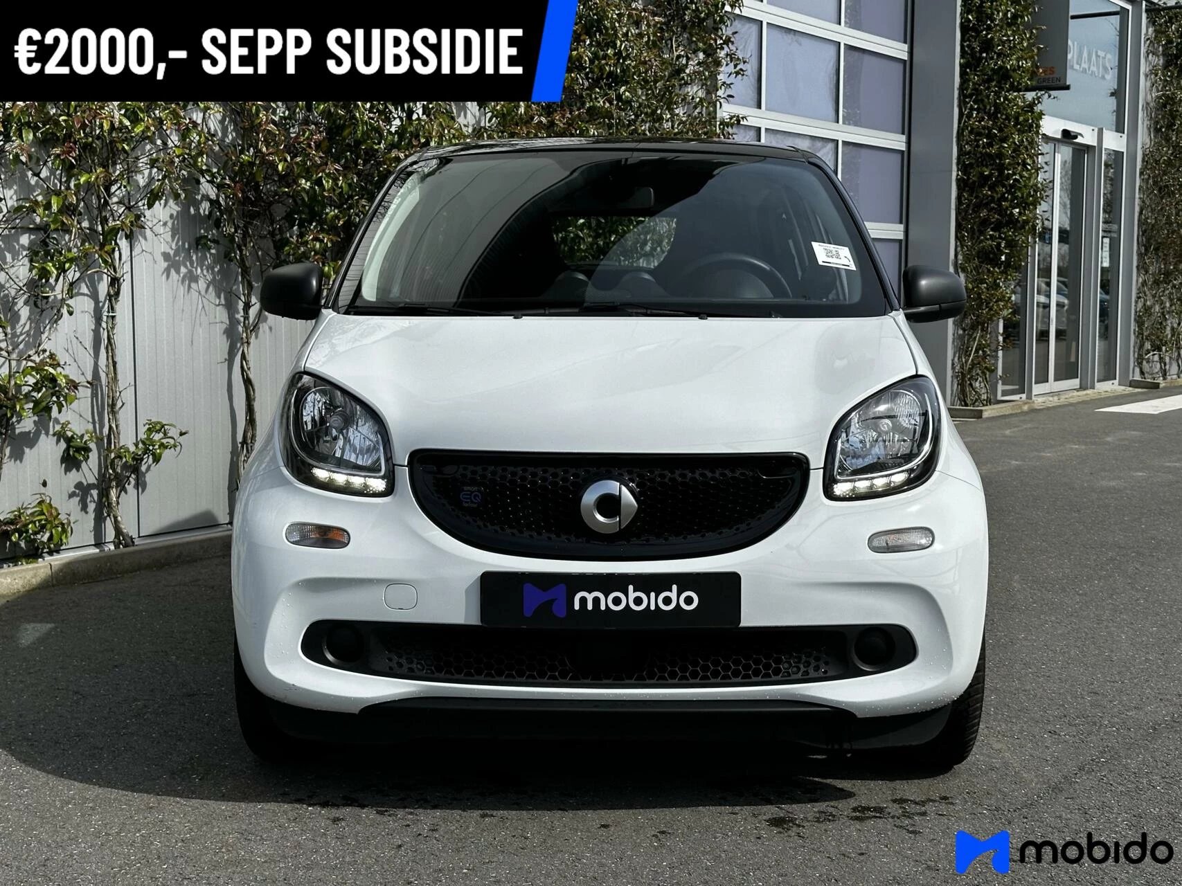 Hoofdafbeelding Smart Forfour